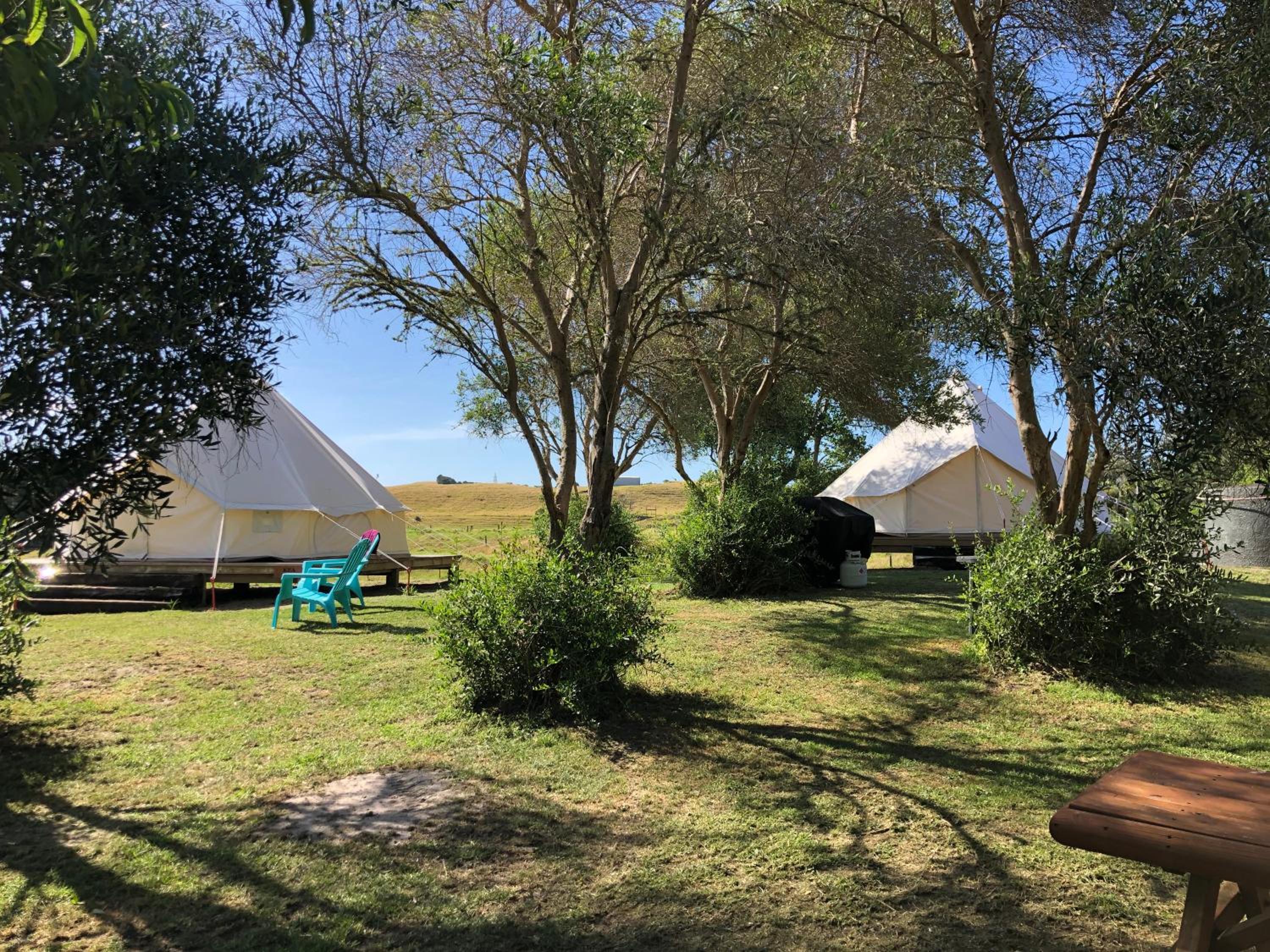 Kai Iwi Lakes Holiday Stays view 5
