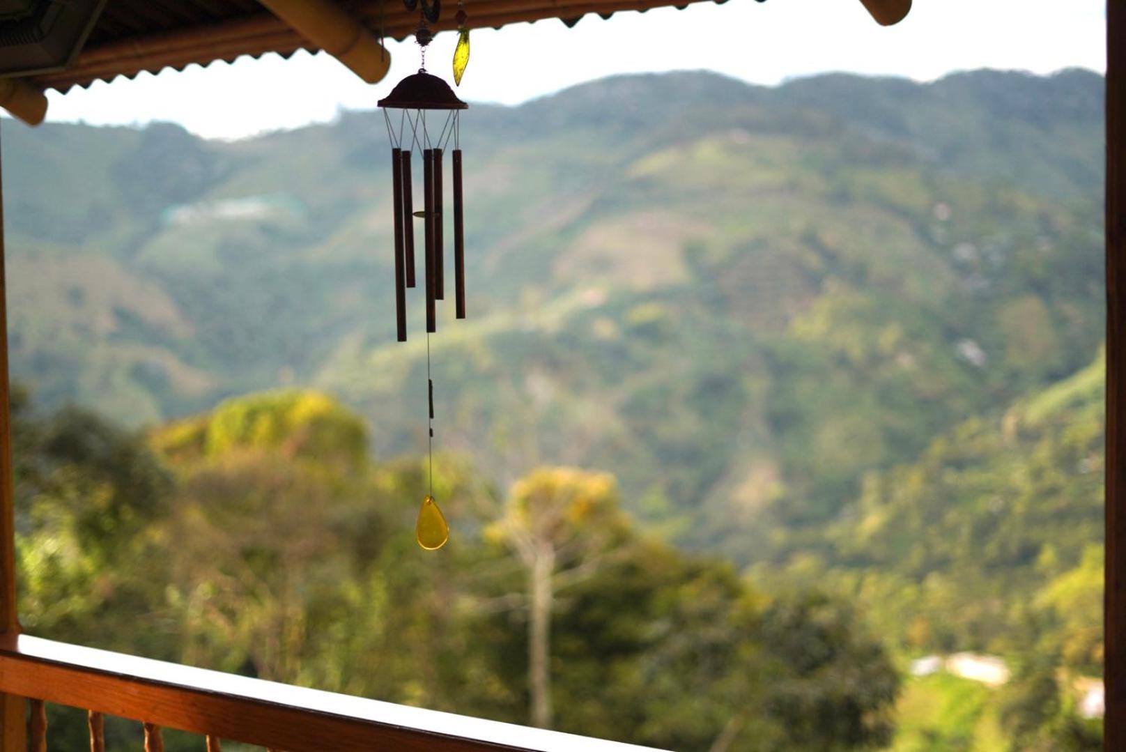 Finca TRADICIONAL EL OTOÑO
