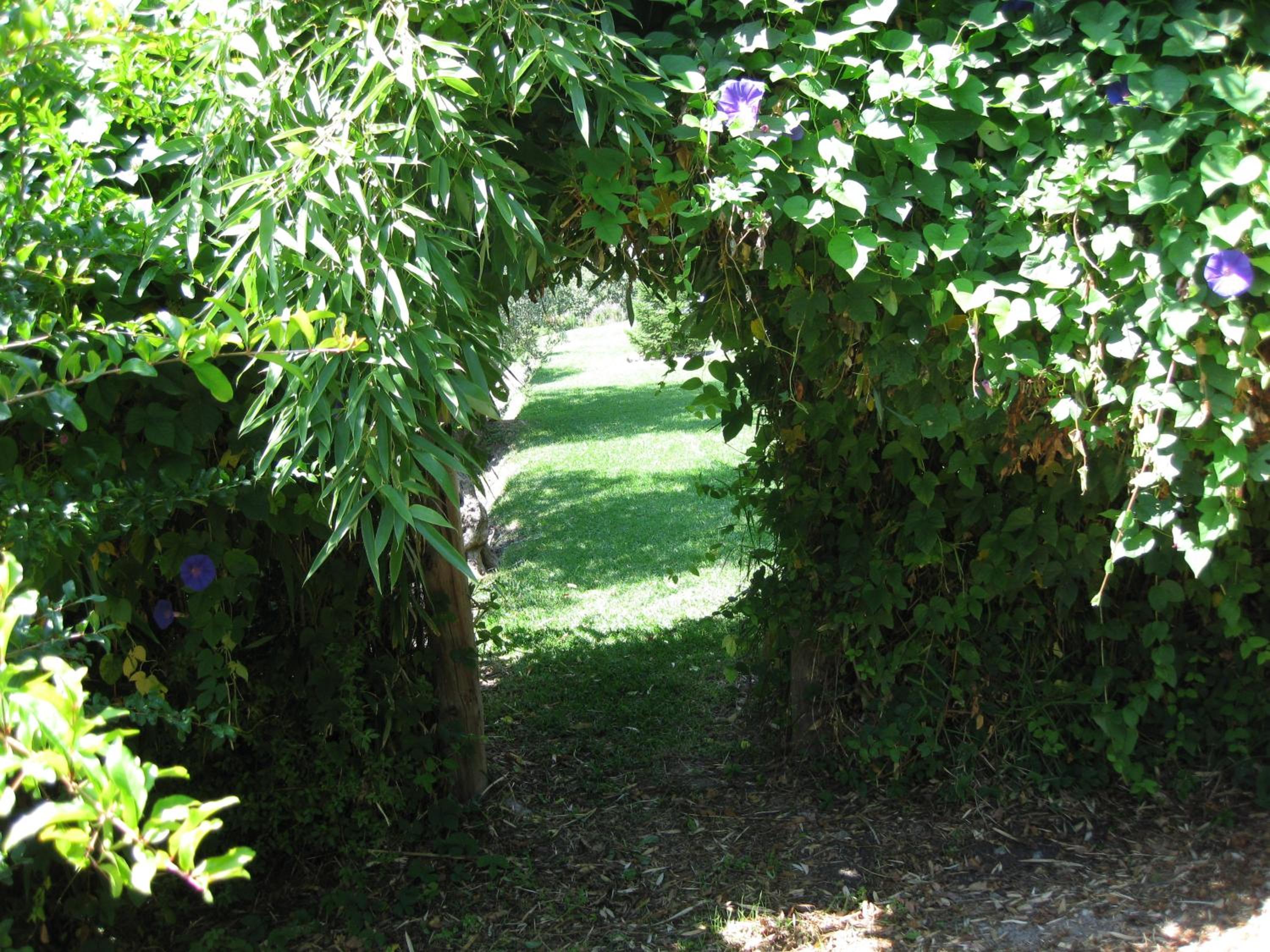 Photo 31