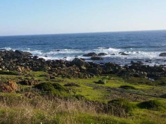 Casa en la playa,la Ballena,los Quinquelles