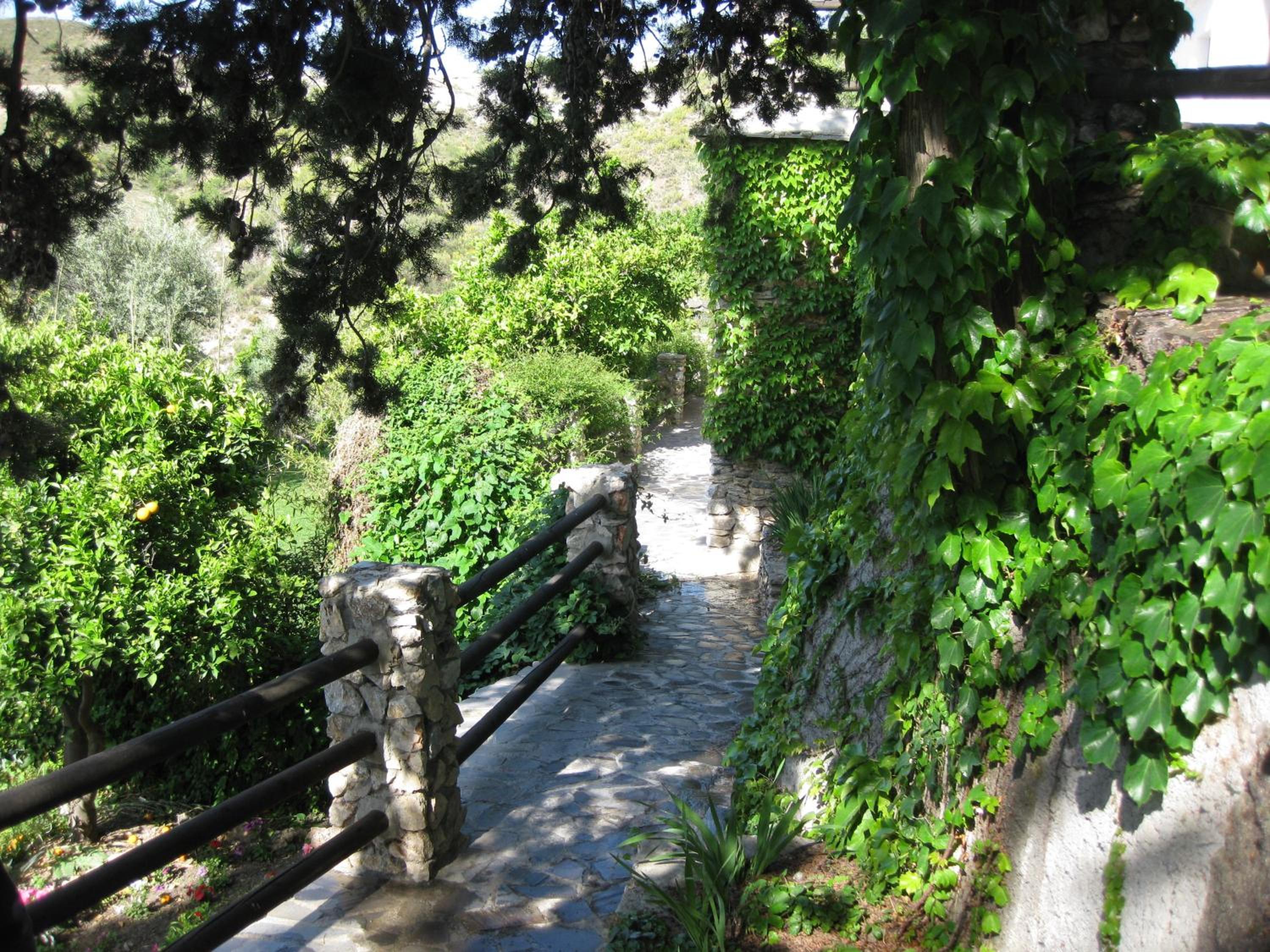 Photo 49