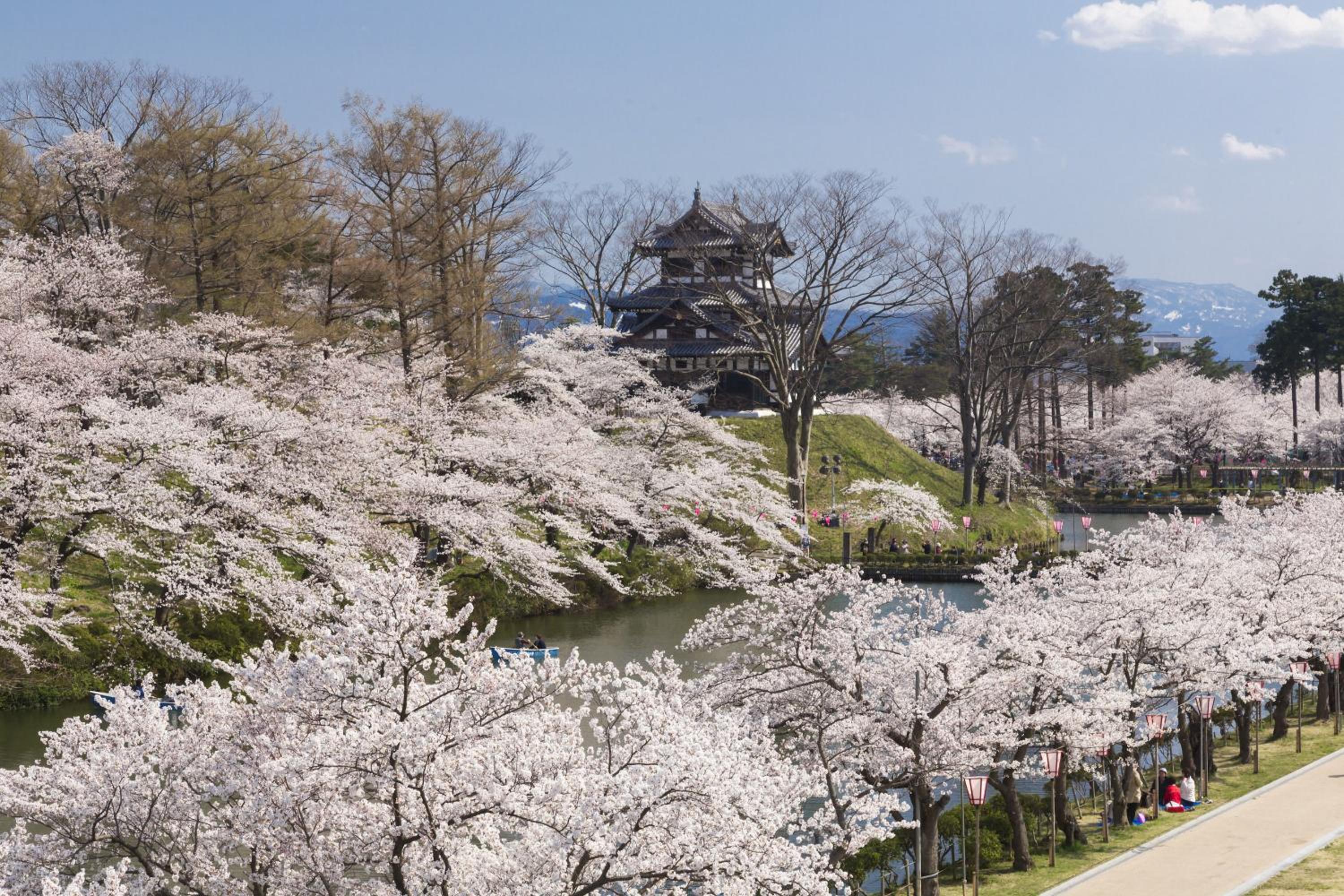 Lotte Arai Resort