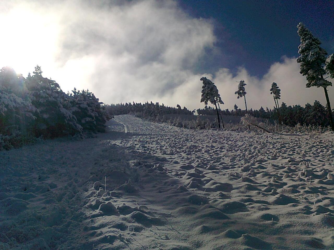 Photo 48