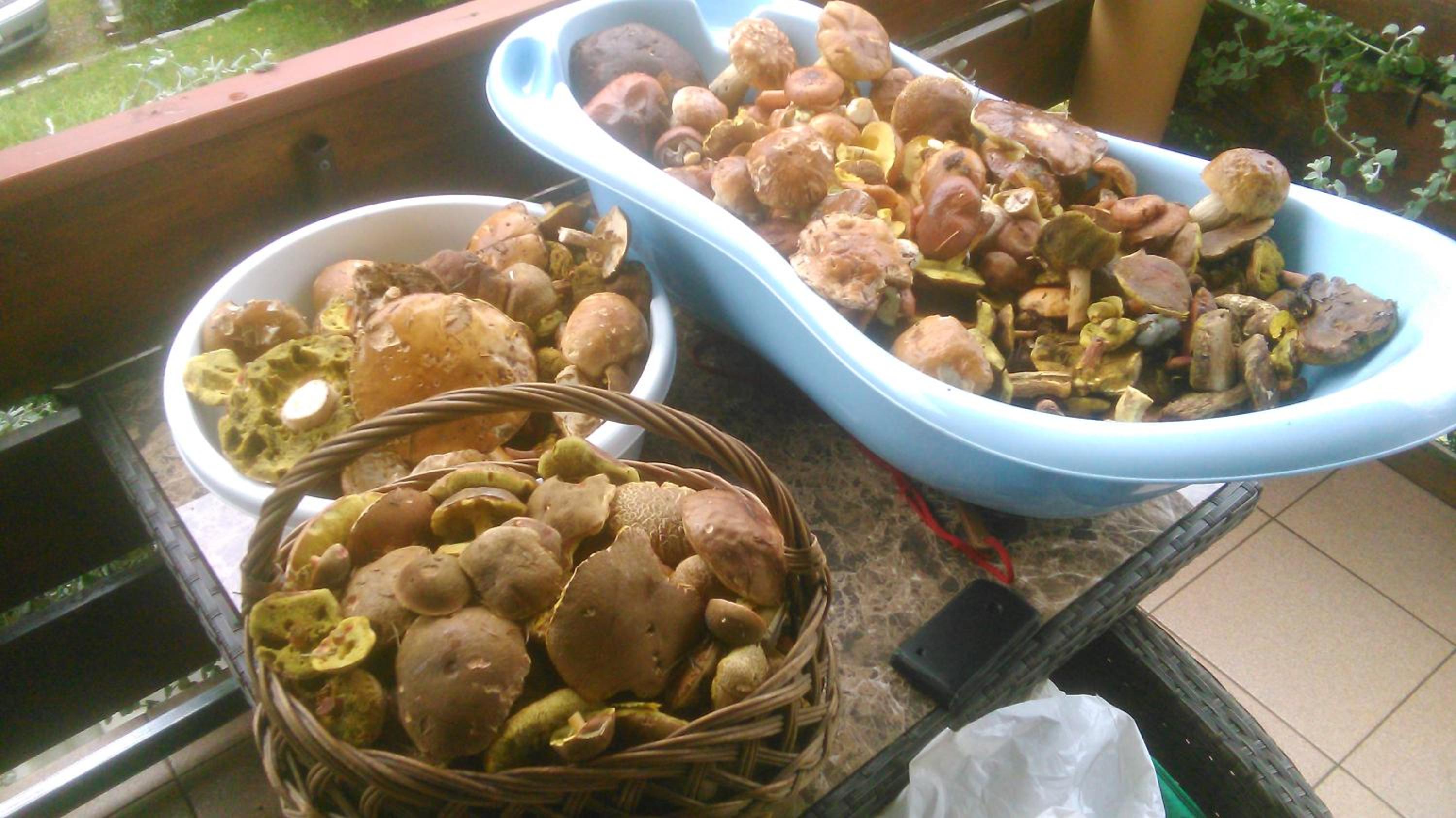 Photo 14