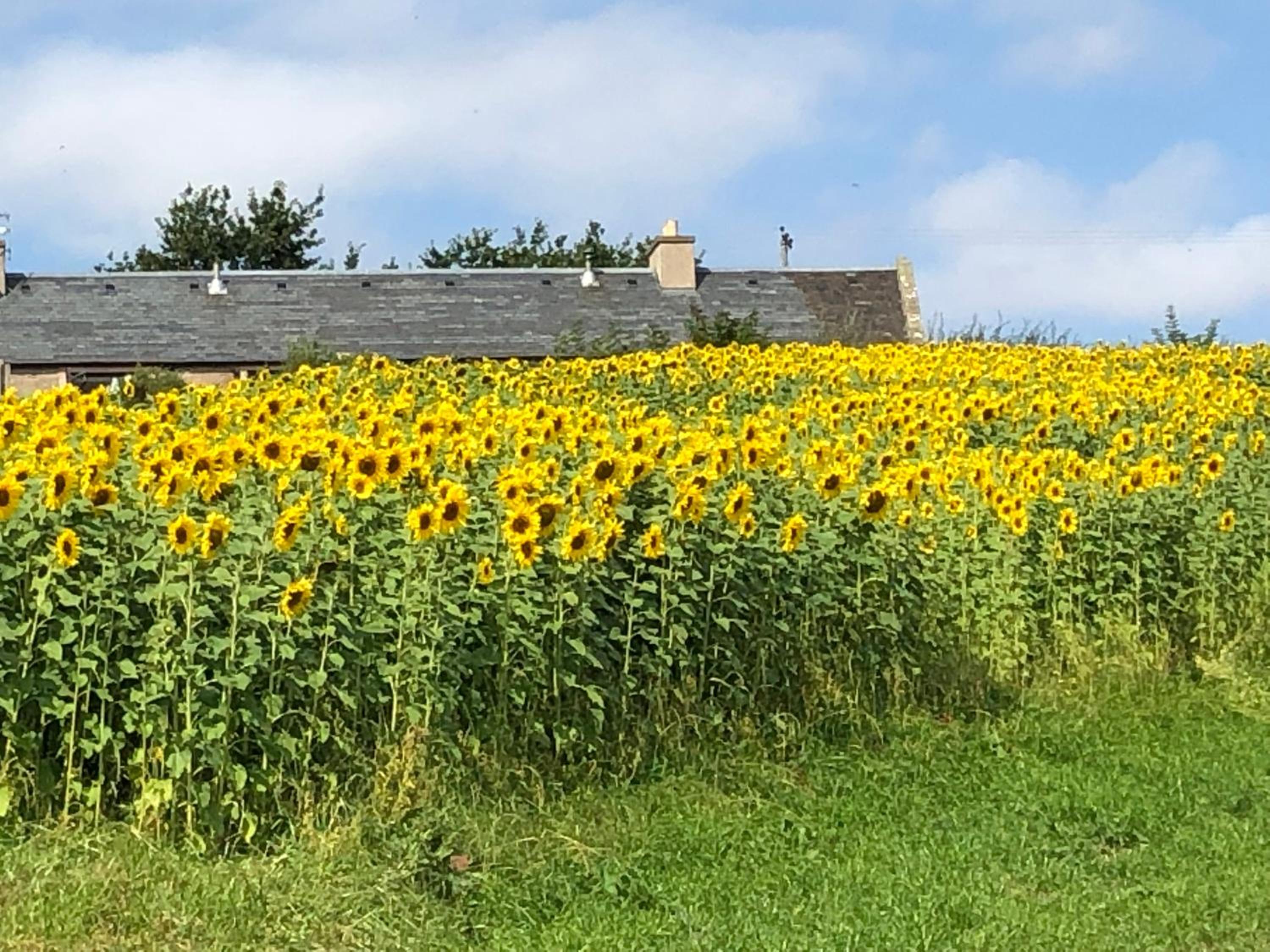 Garden Bank Cottage