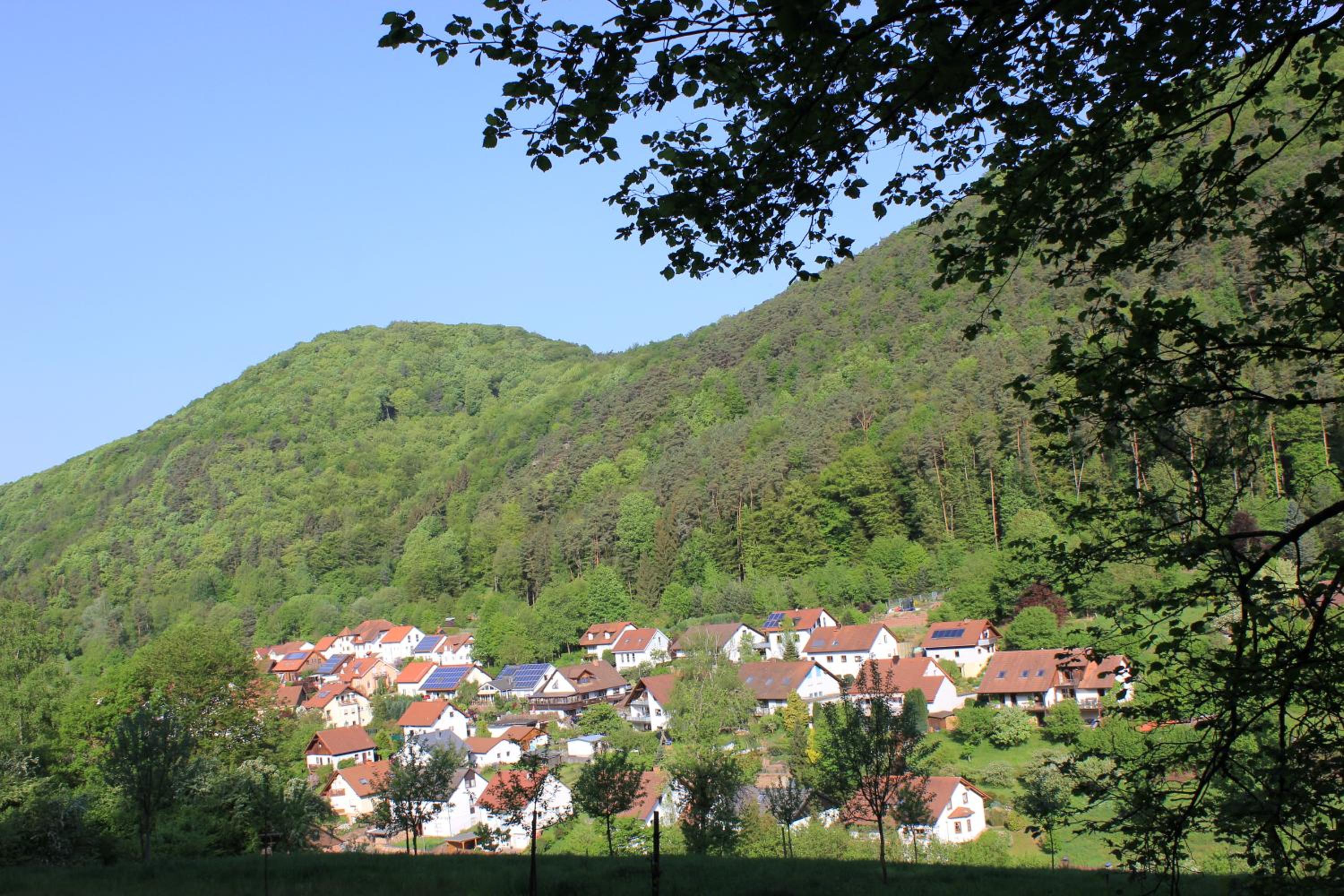 Photo 15