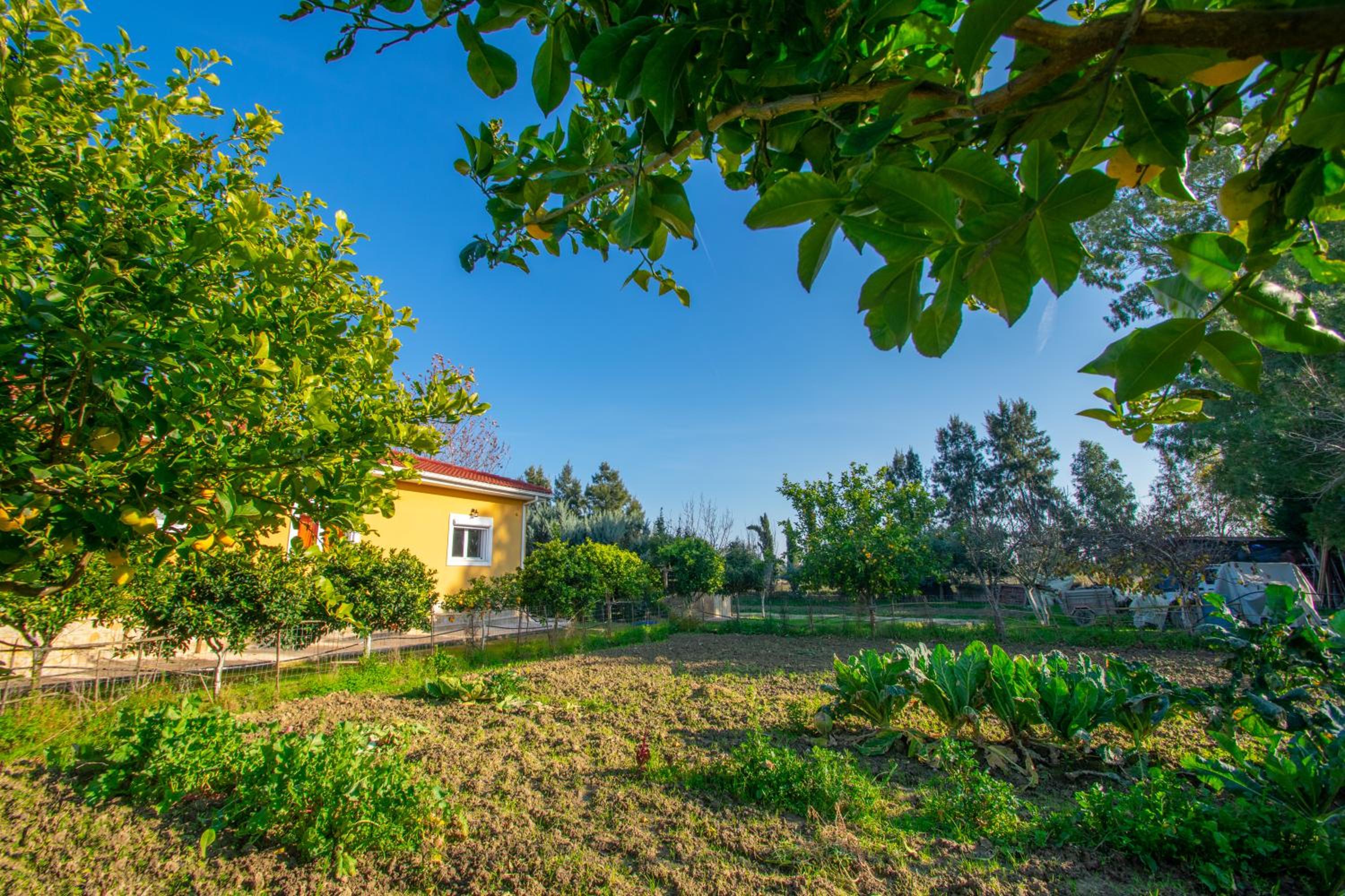 Loukas Farm House view 4