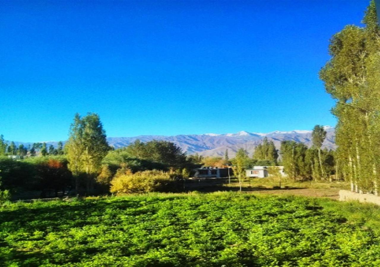 Hotel Ladakh Heaven view 5
