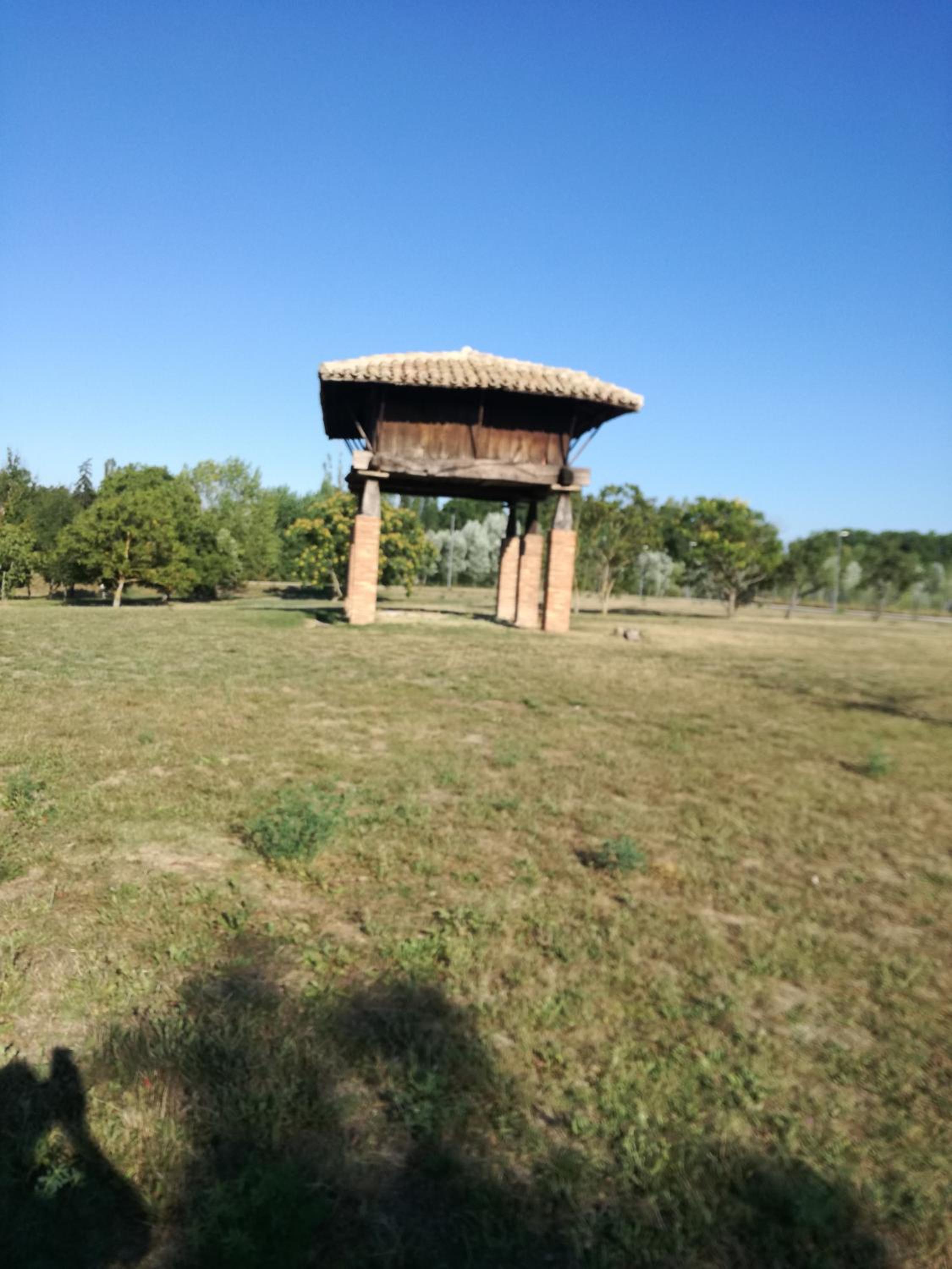 Photo 21