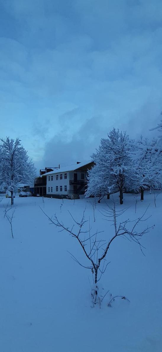 Guest House Tavaduri view 5
