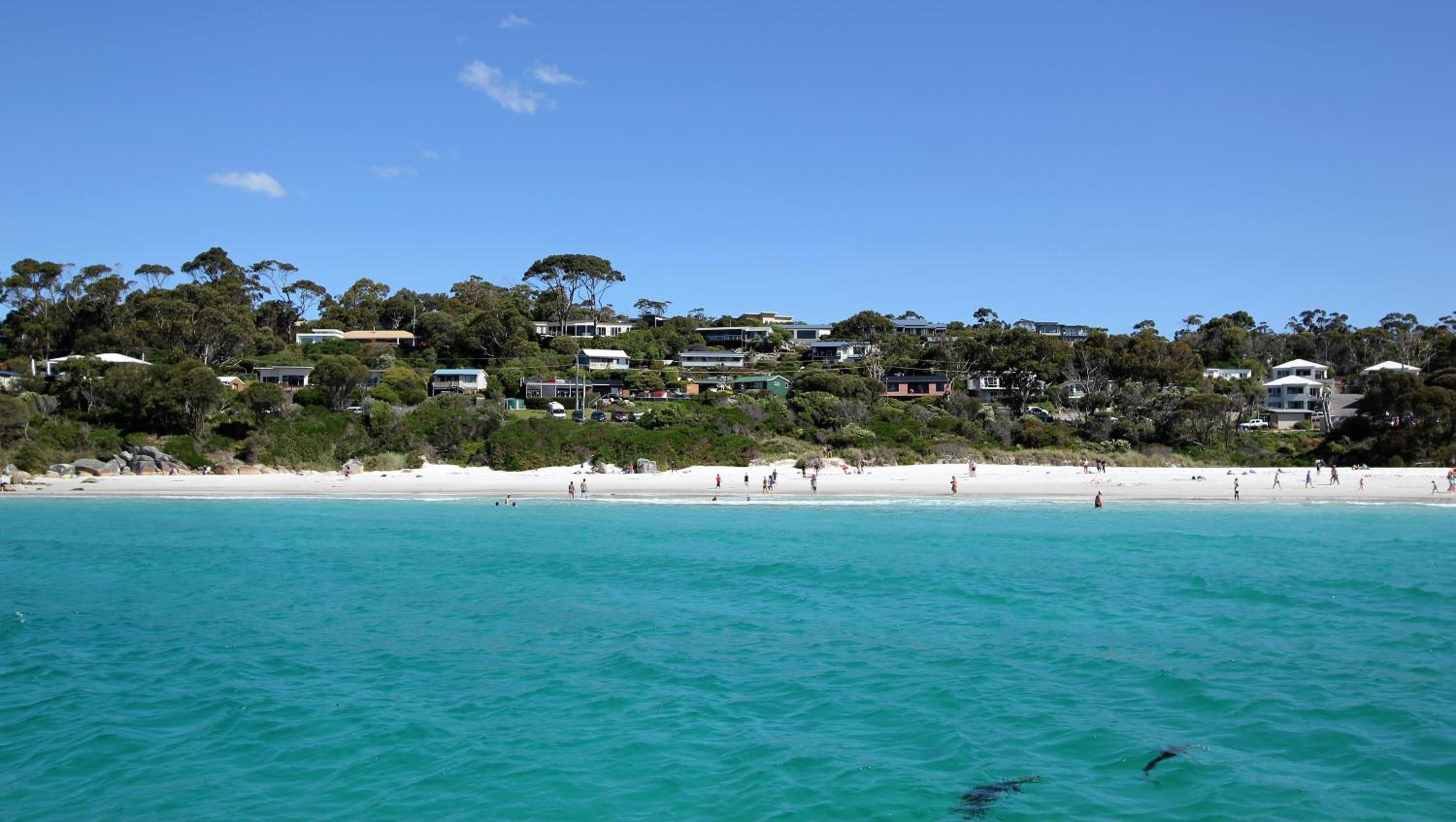 BAY OF FIRES BEACH SHACK ocean views from a modern Beachhouse