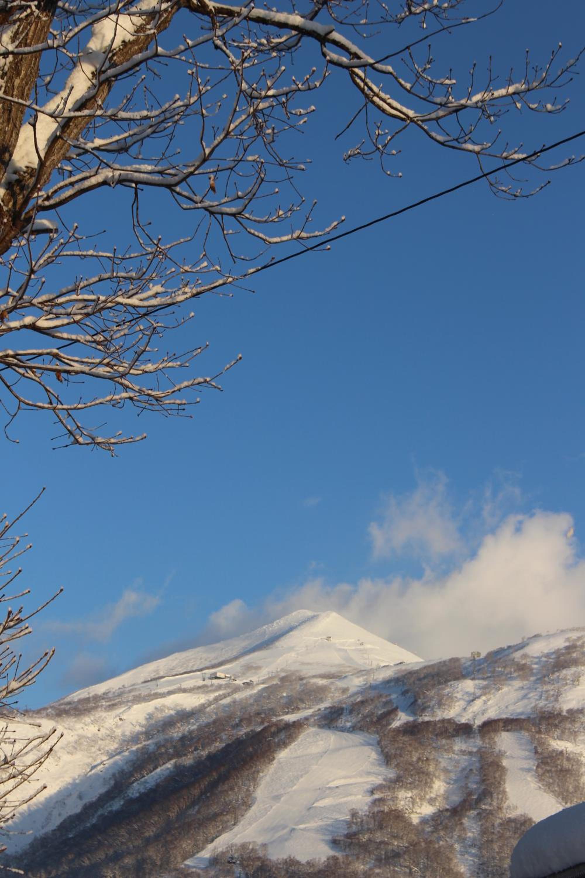 Niseko OAC Lodge view 4