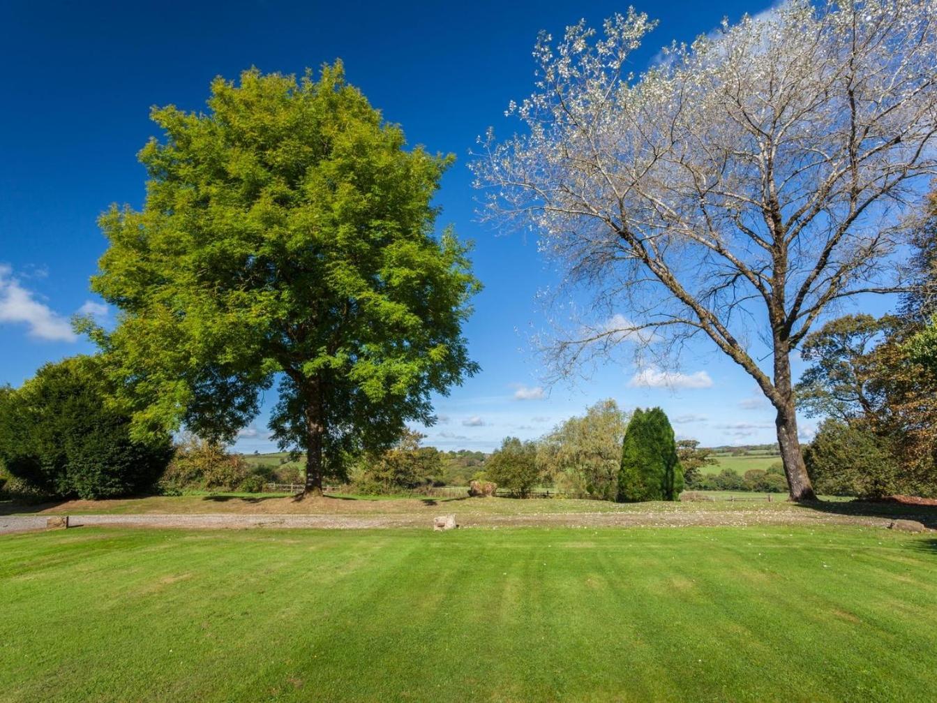 Great Bidlake Manor