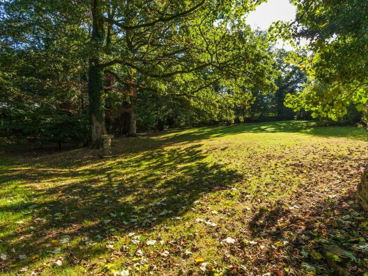Great Bidlake Manor