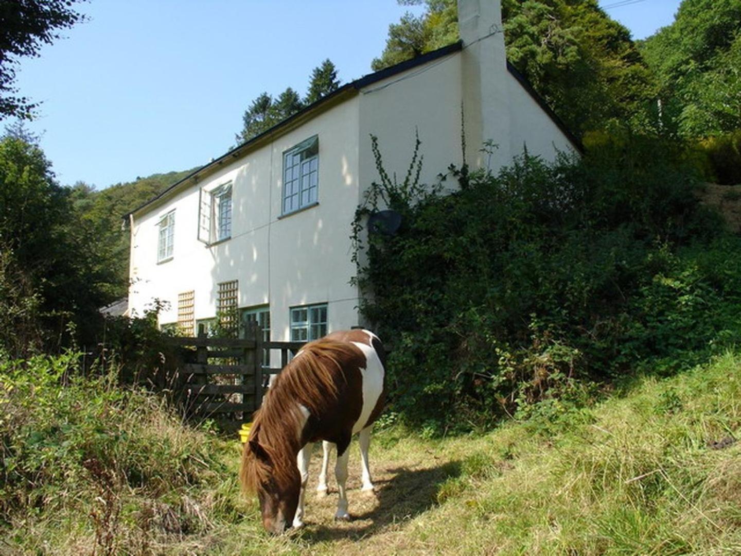 Barn Cottage