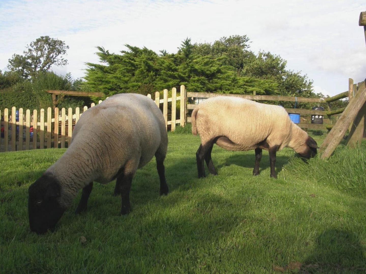Yellowland Farm