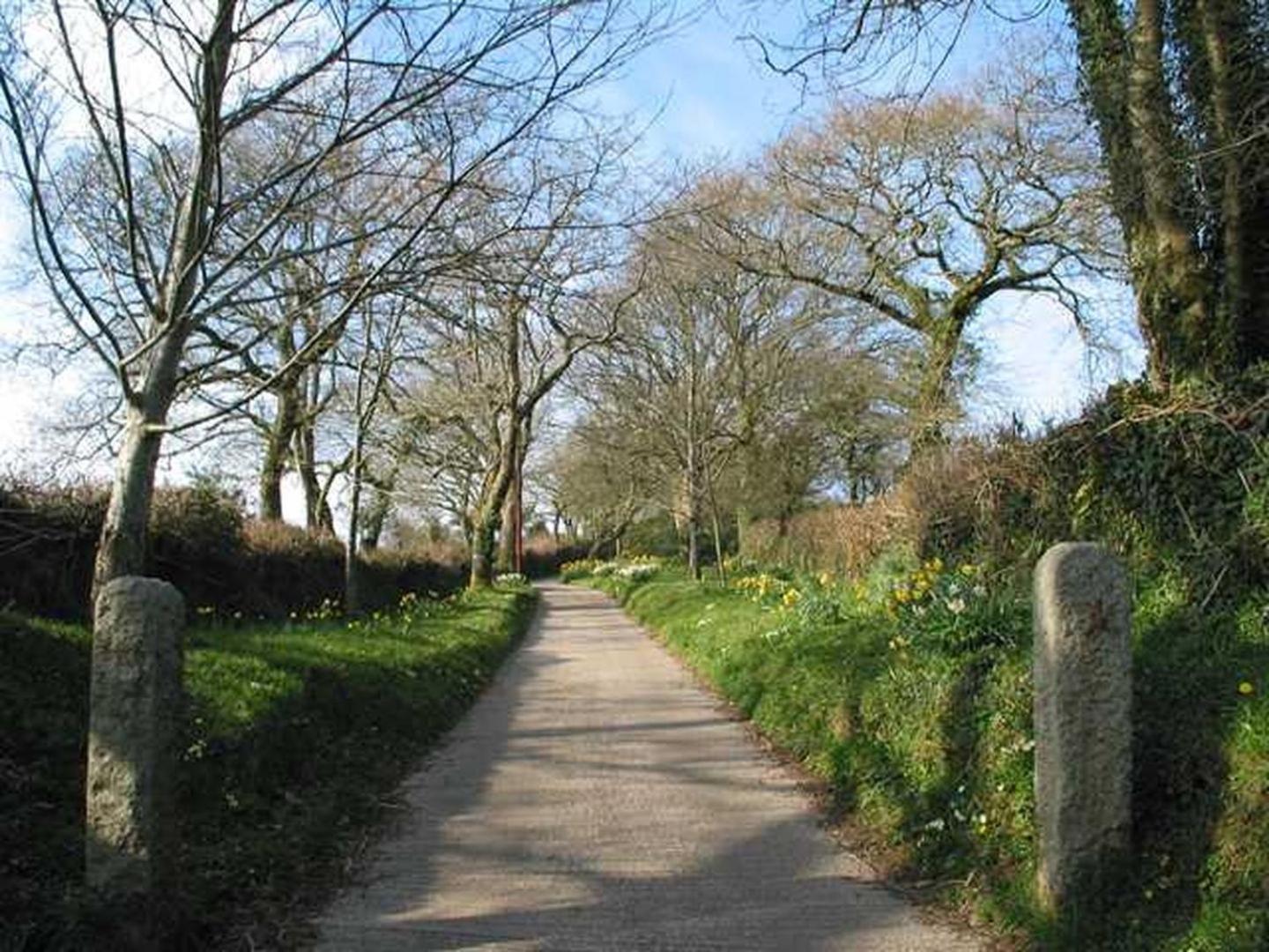 Tumrose Cottage