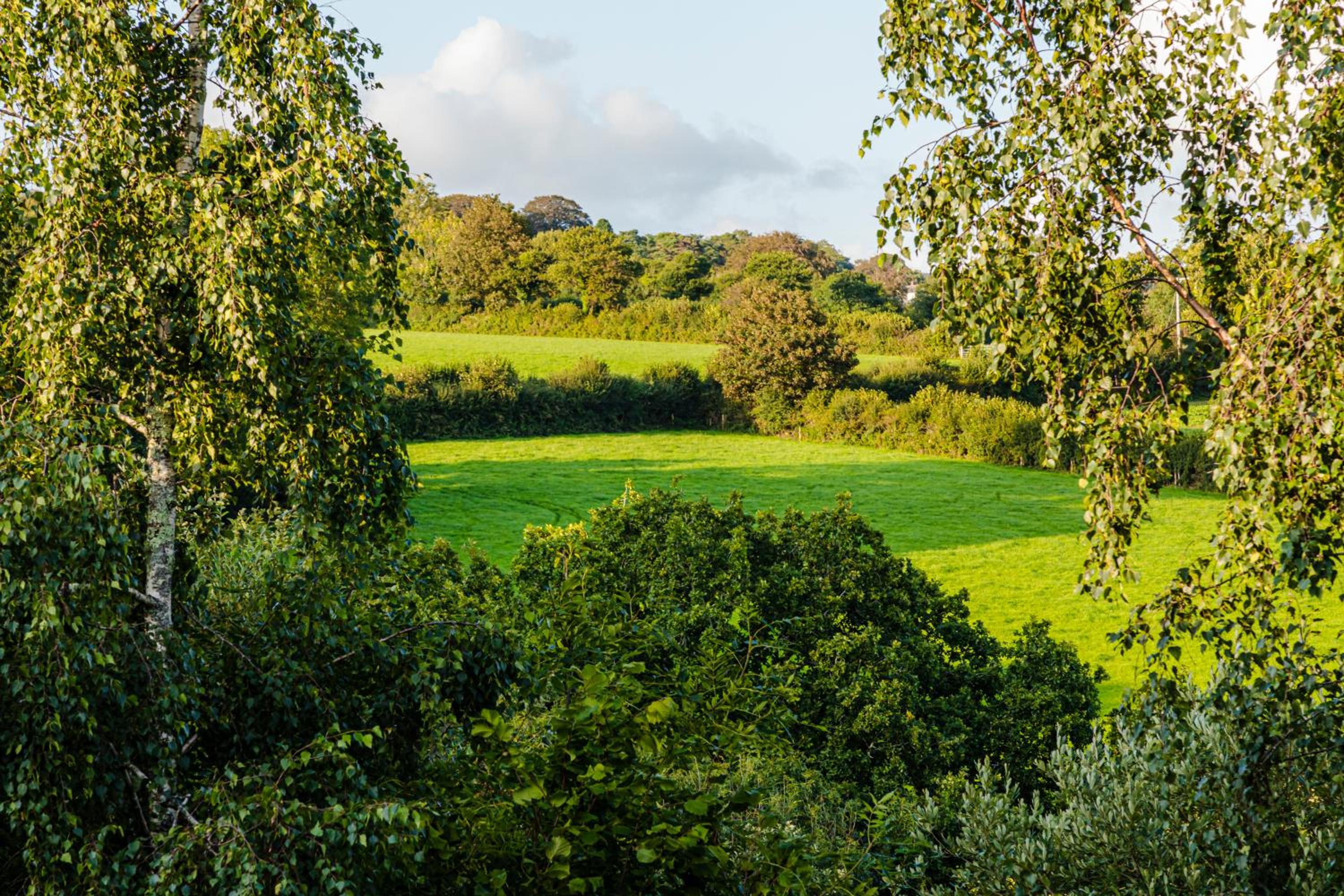 Cornwall Countryside Lodges "Reserve Worldwide" Honicombe view 3