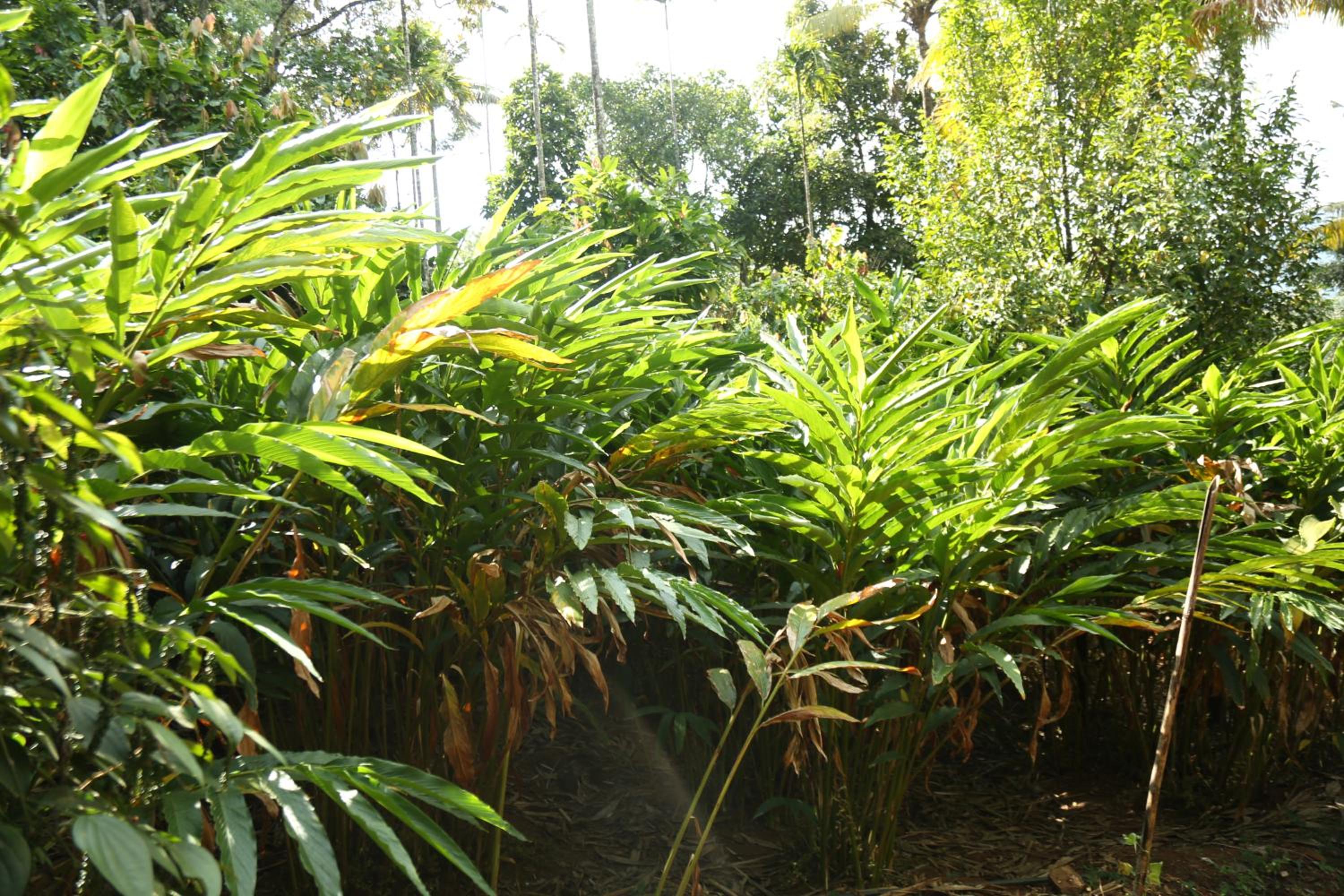 Photo 6