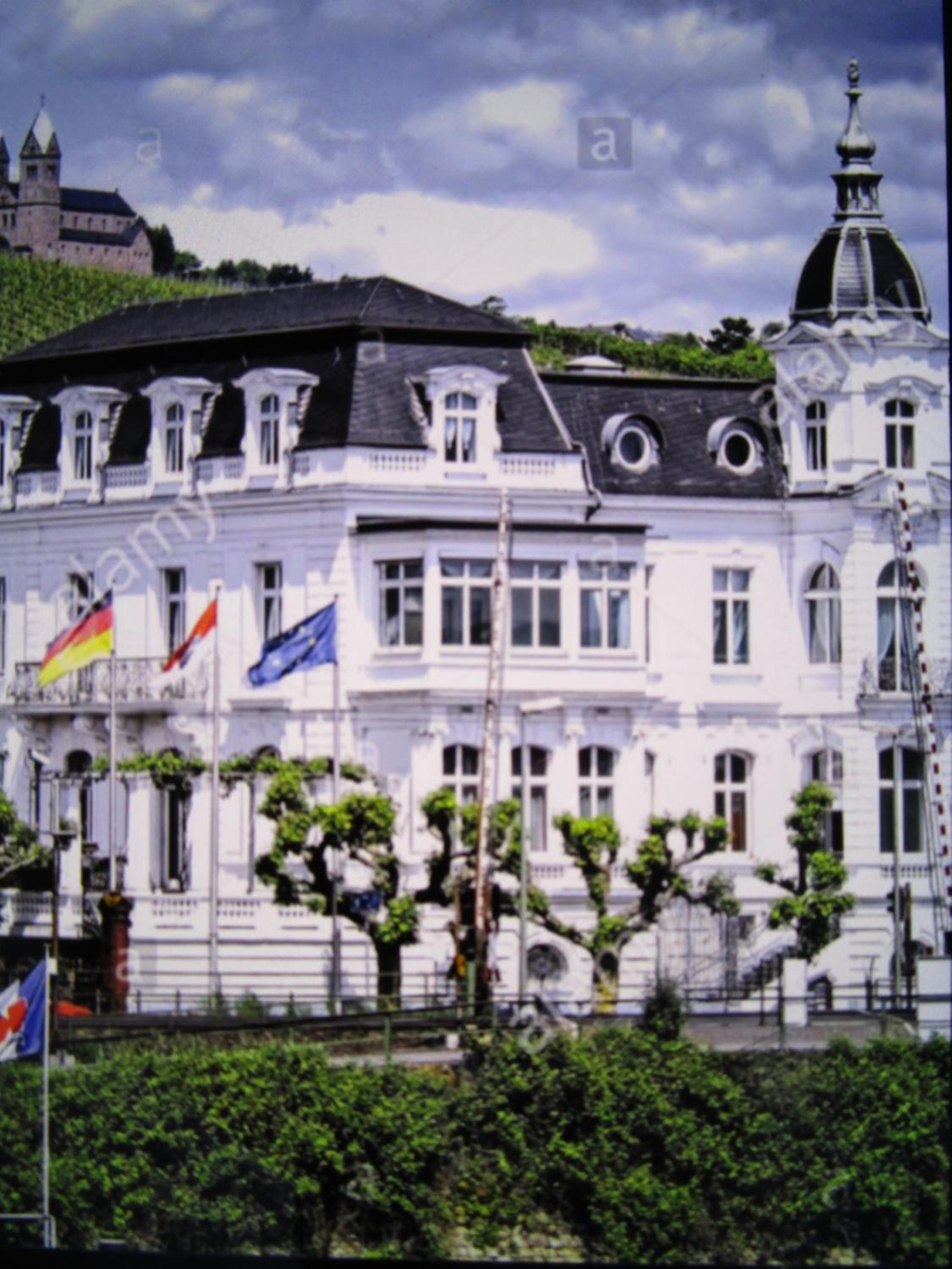 Photo 44