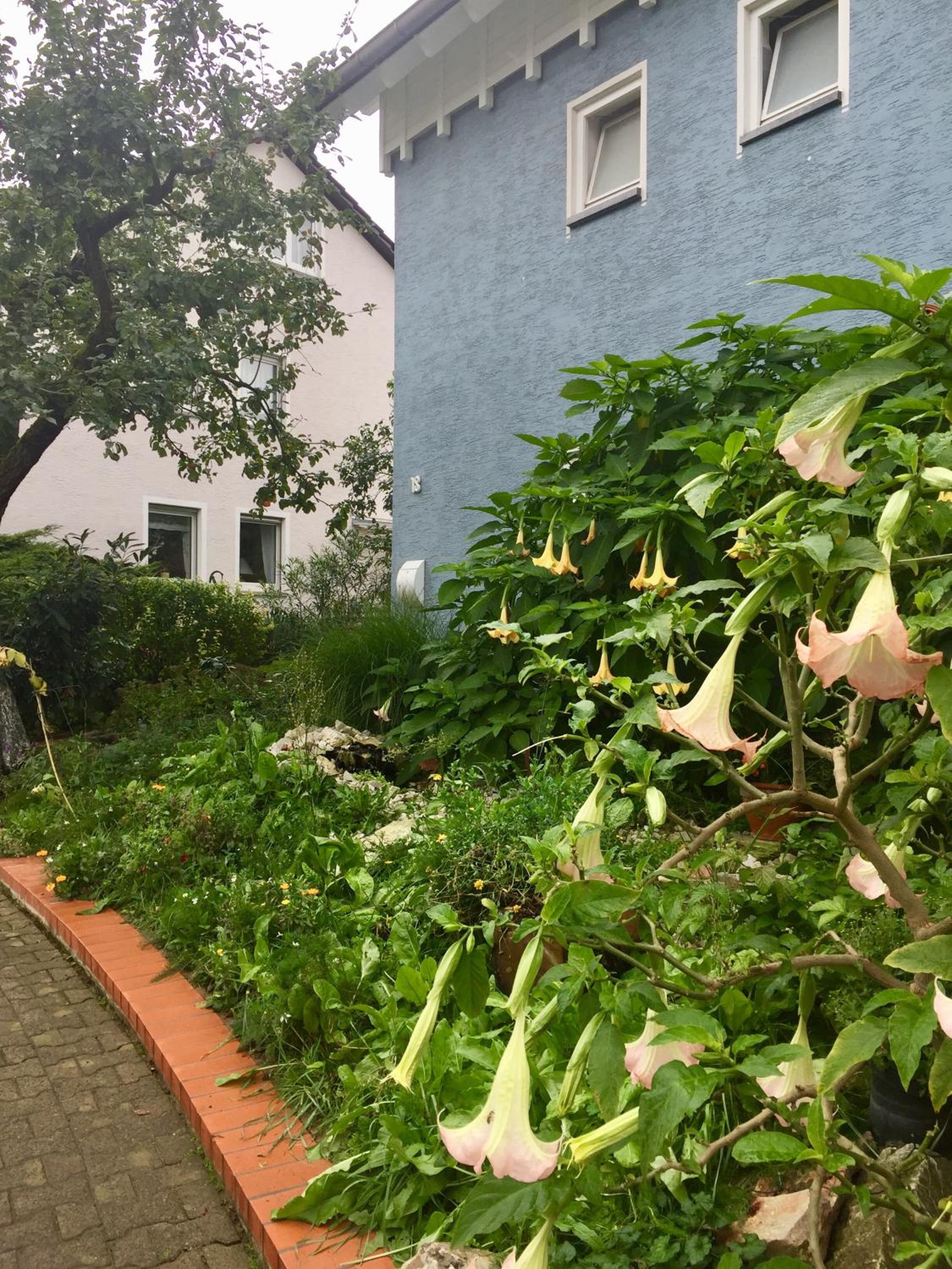 Blaues Haus