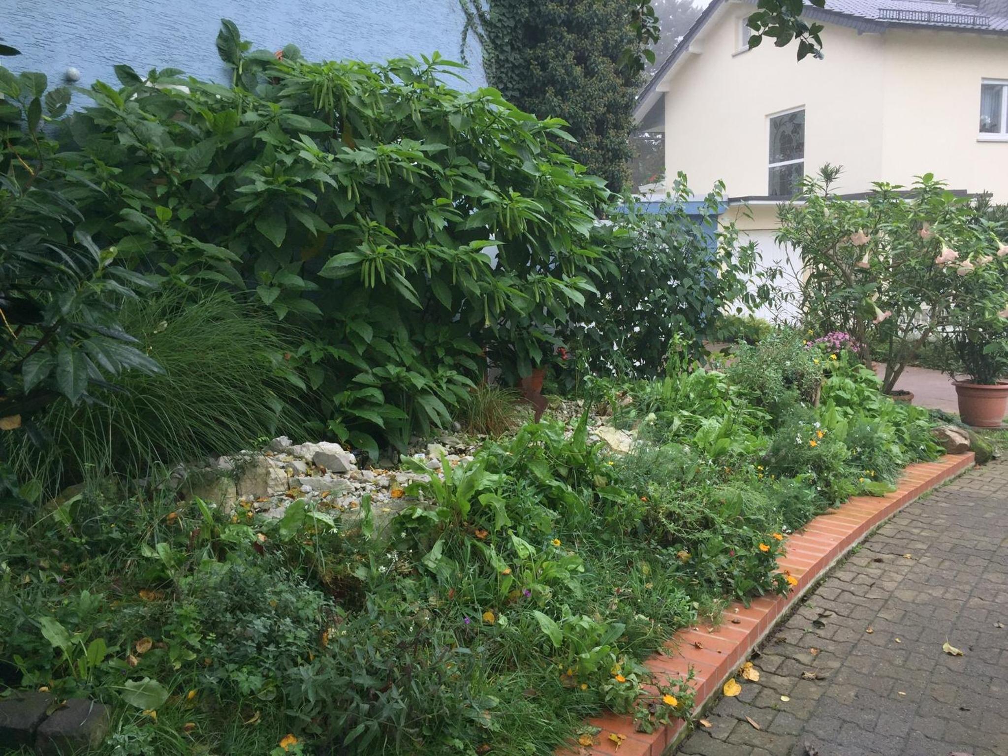 Blaues Haus