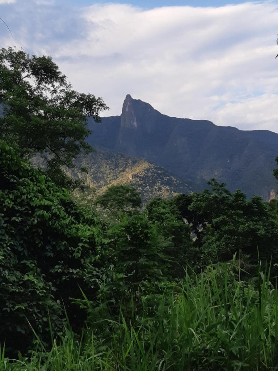 Solar corcovado