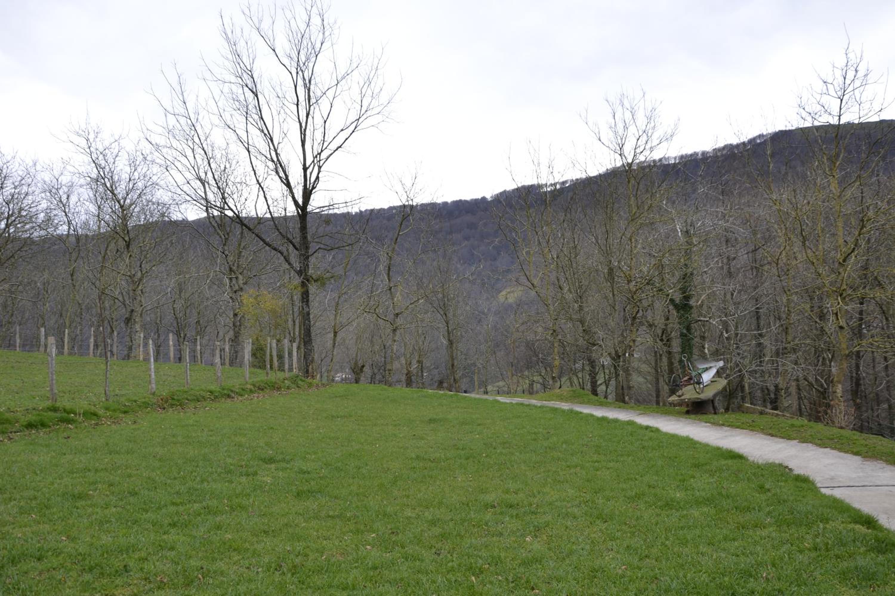 Photo 44