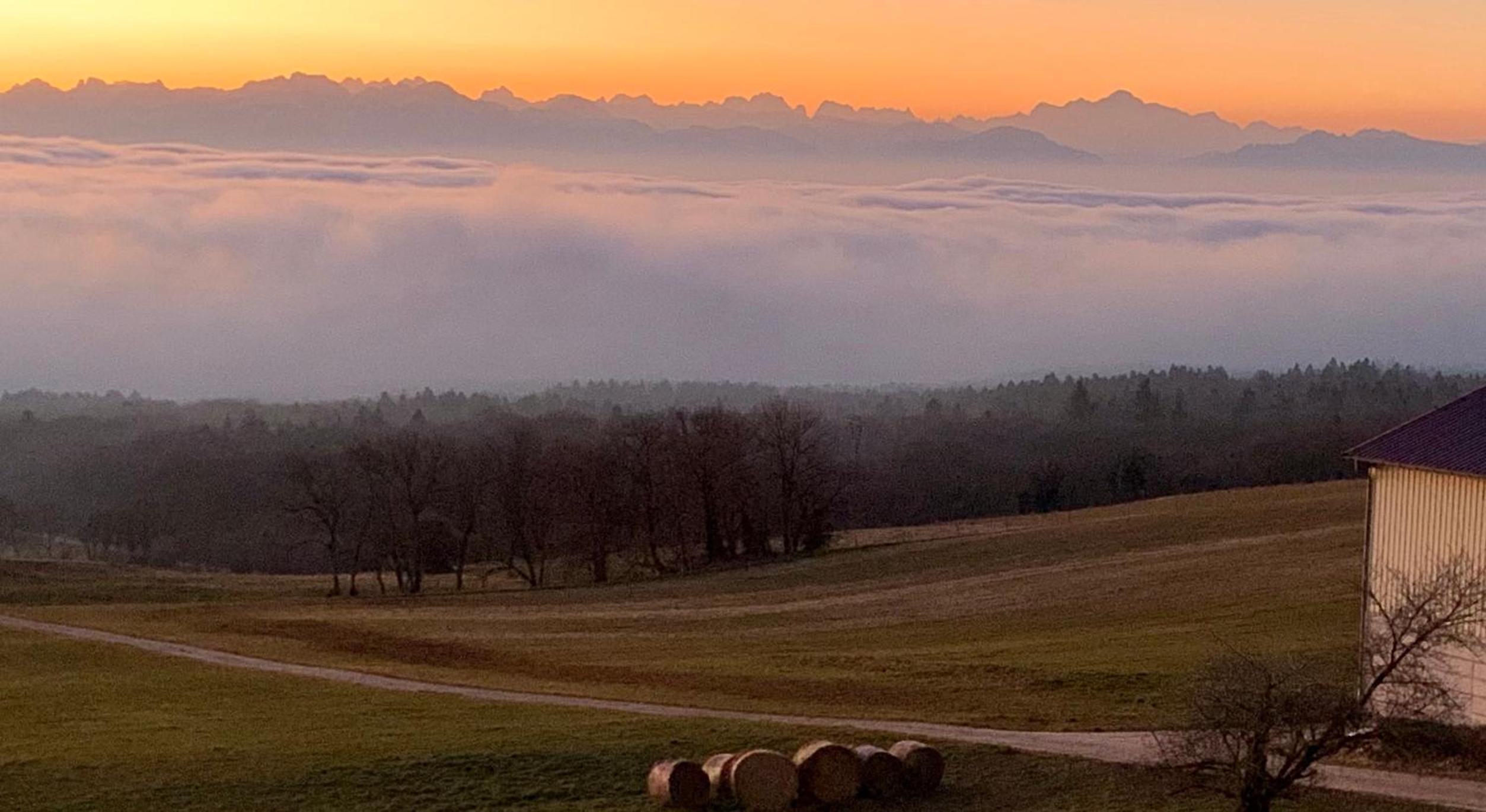 La Ferme de la Praz B&B