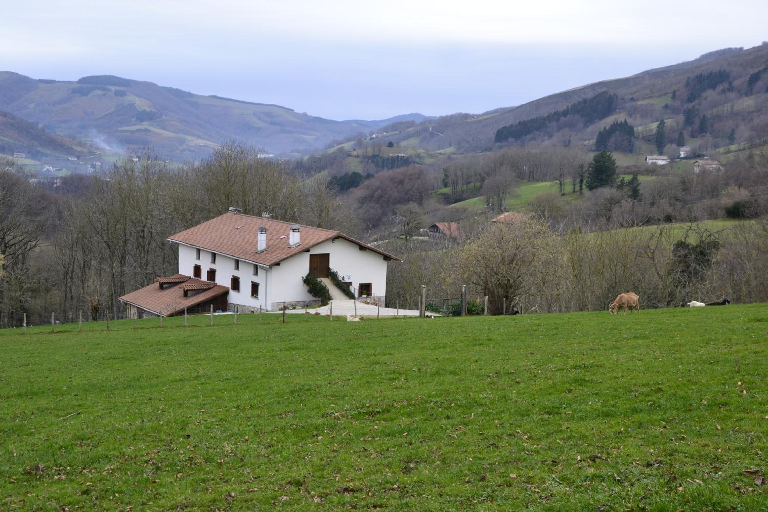 Photo 43