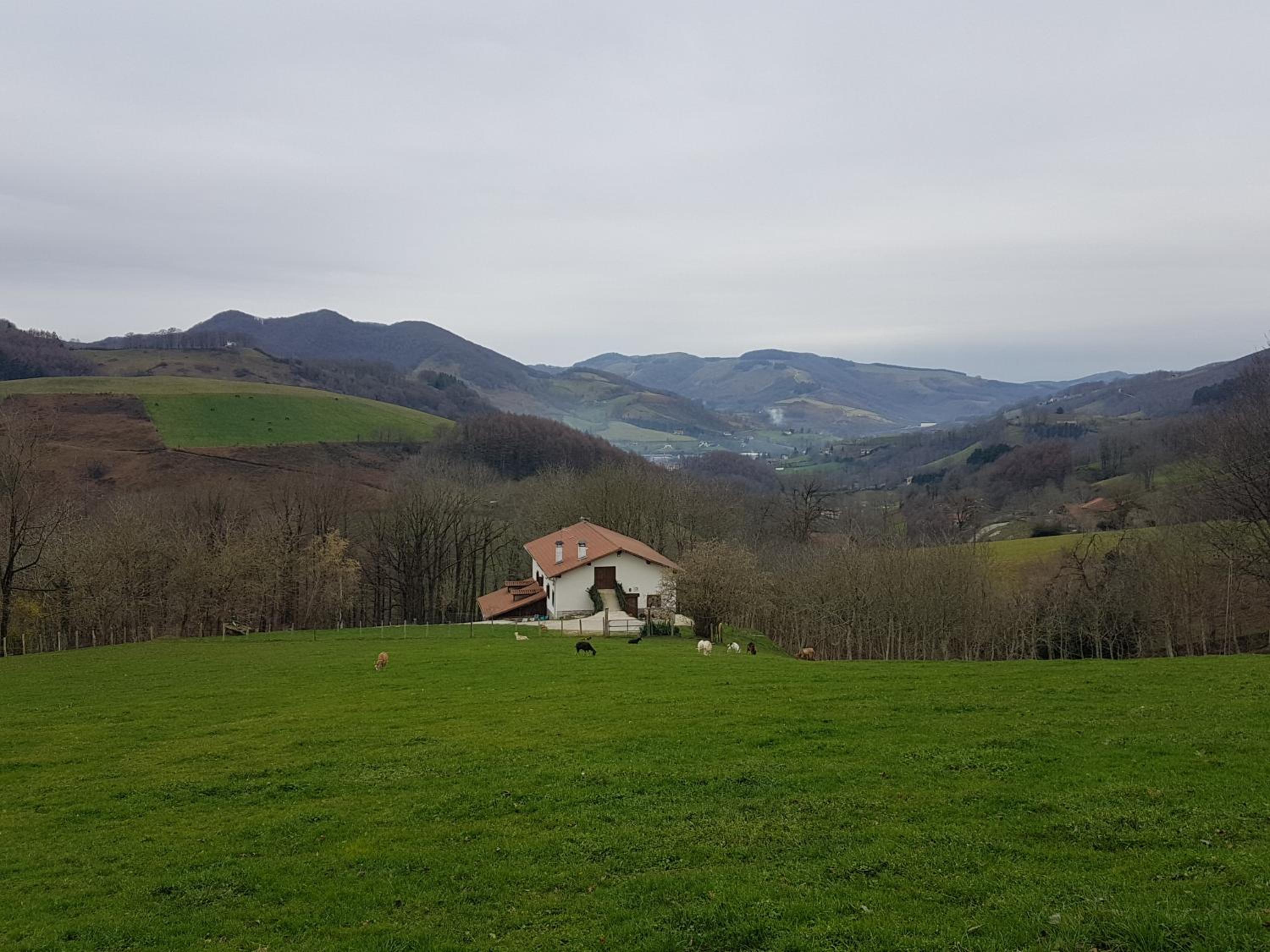 Photo 20