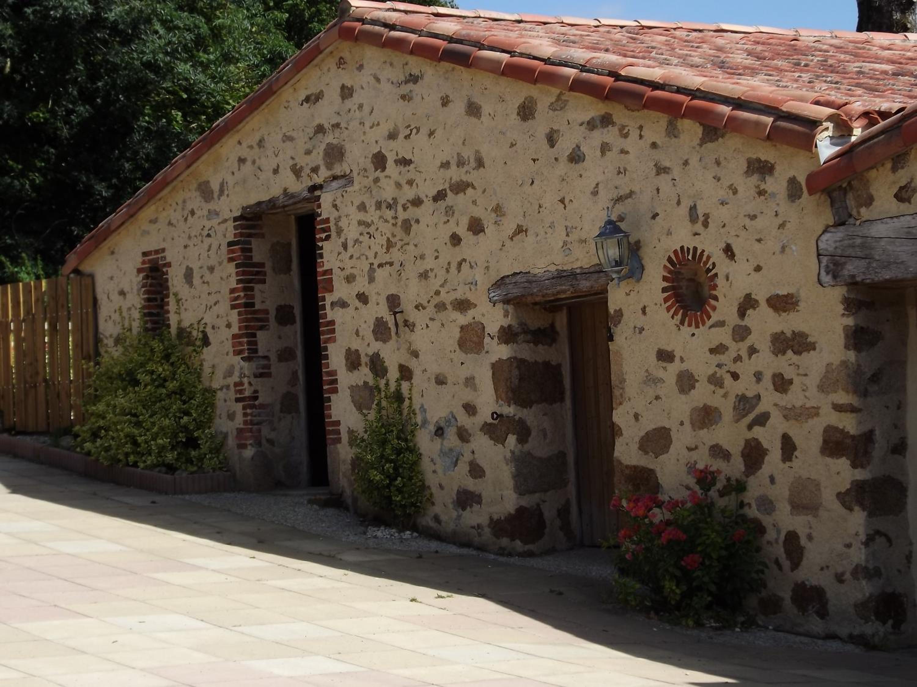 Photo 21