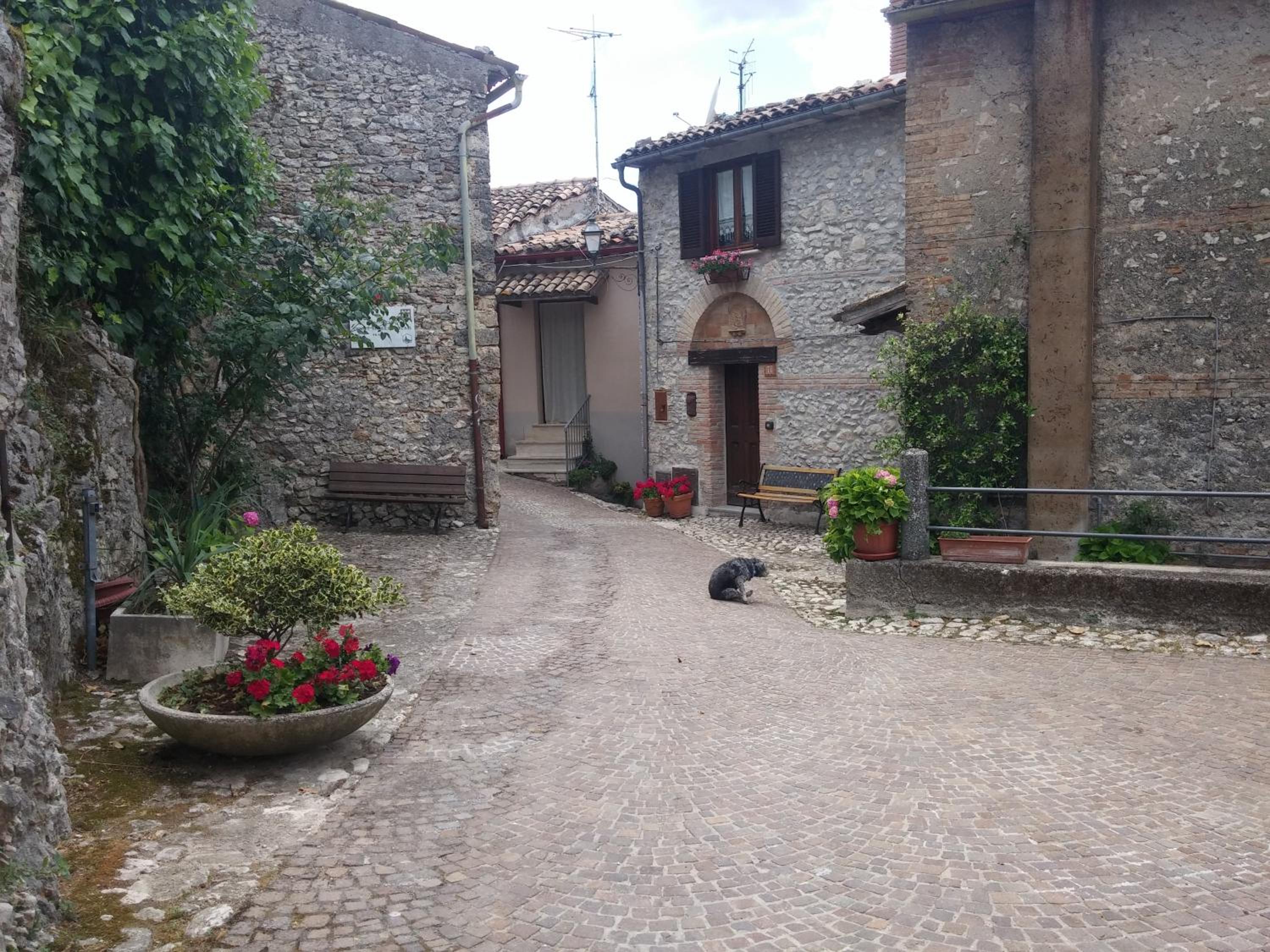Photo 12