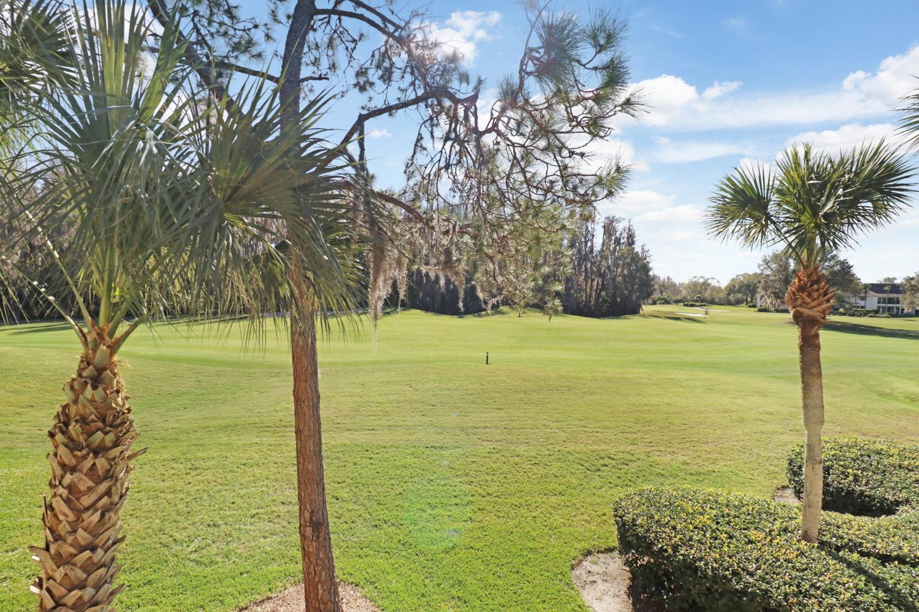 Saddlebrook Golf Course view Condo with Kitchen - Property Image 4