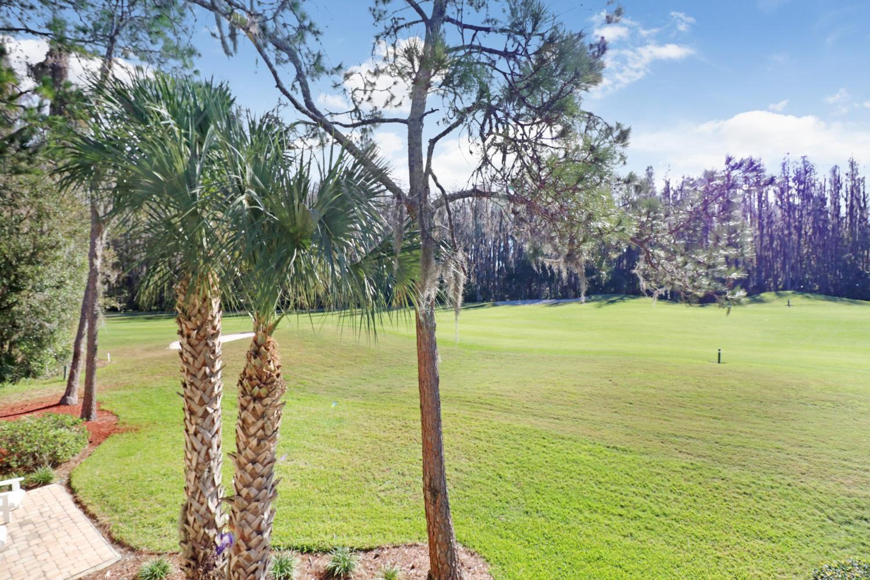 Saddlebrook Golf Course view Condo with Kitchen - Property Image 5
