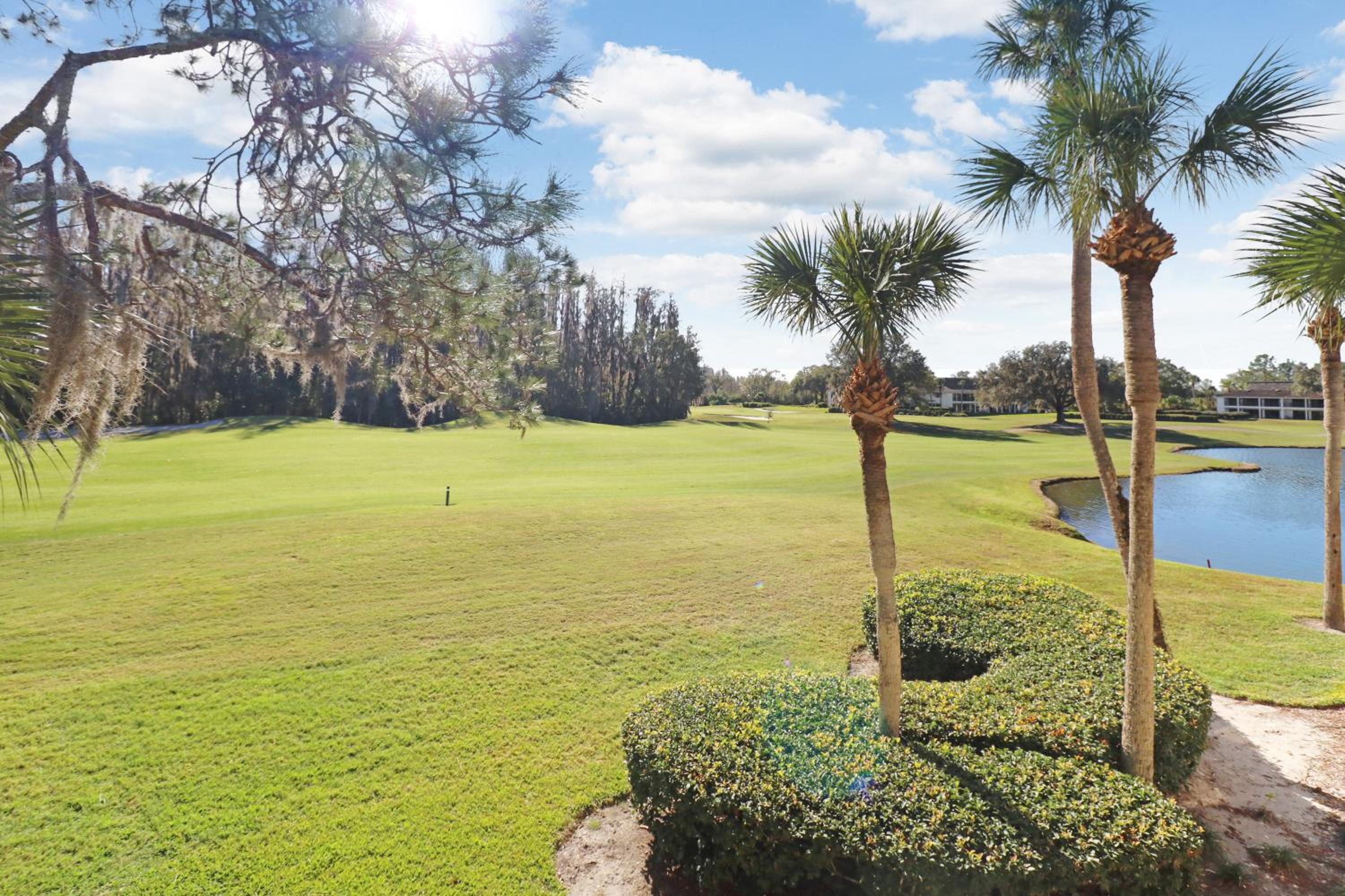 Saddlebrook Golf Course view Condo with Kitchen - Property Image 6
