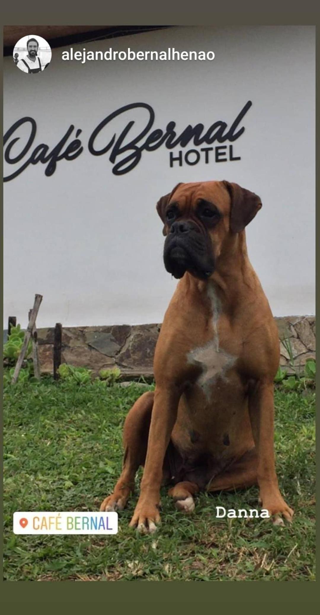 Hotel Café Bernal