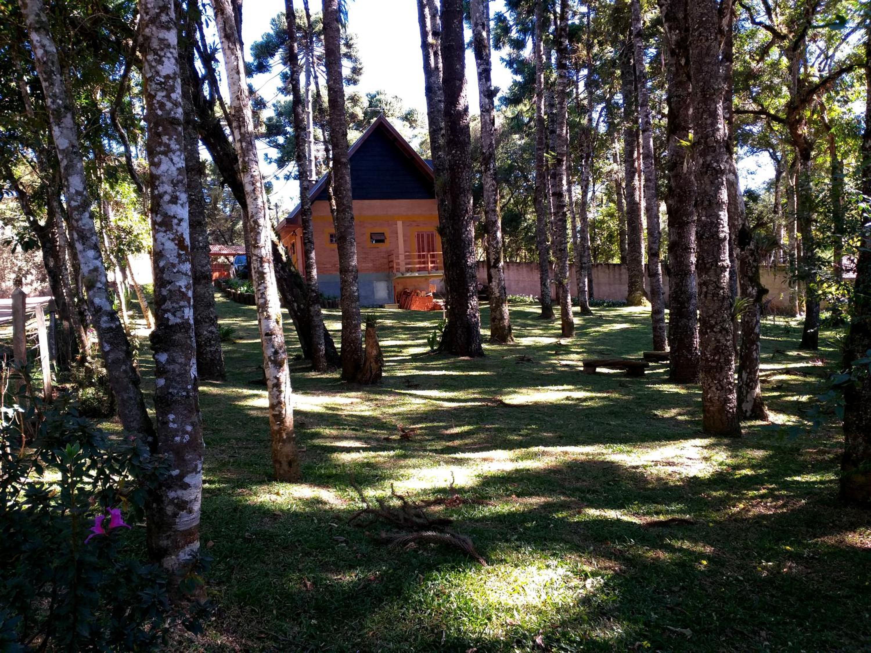 Bosque das Araucárias