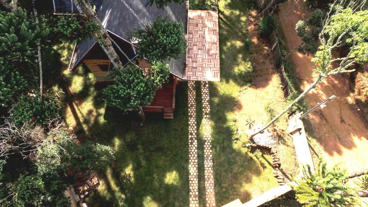 Bosque das Araucárias
