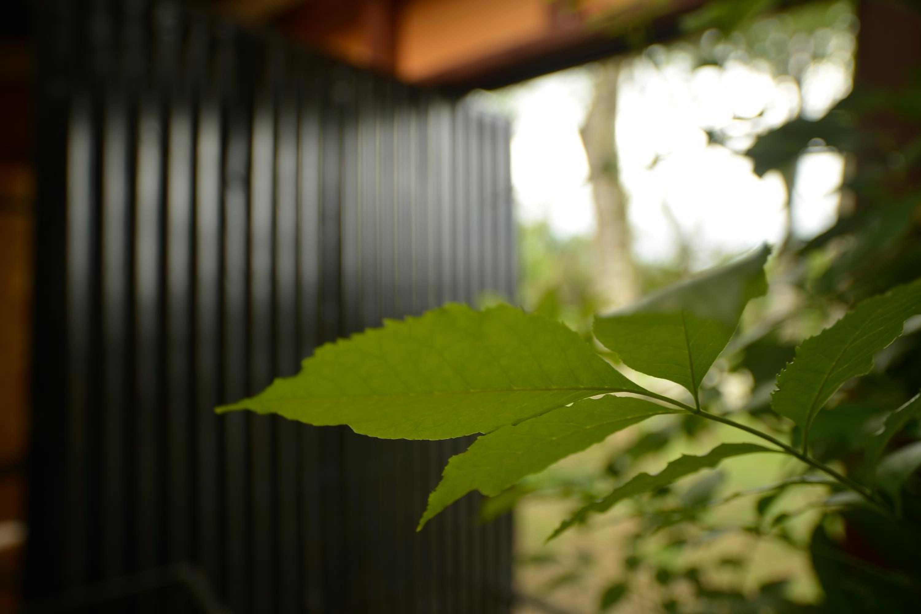 EcoRoundHouse
