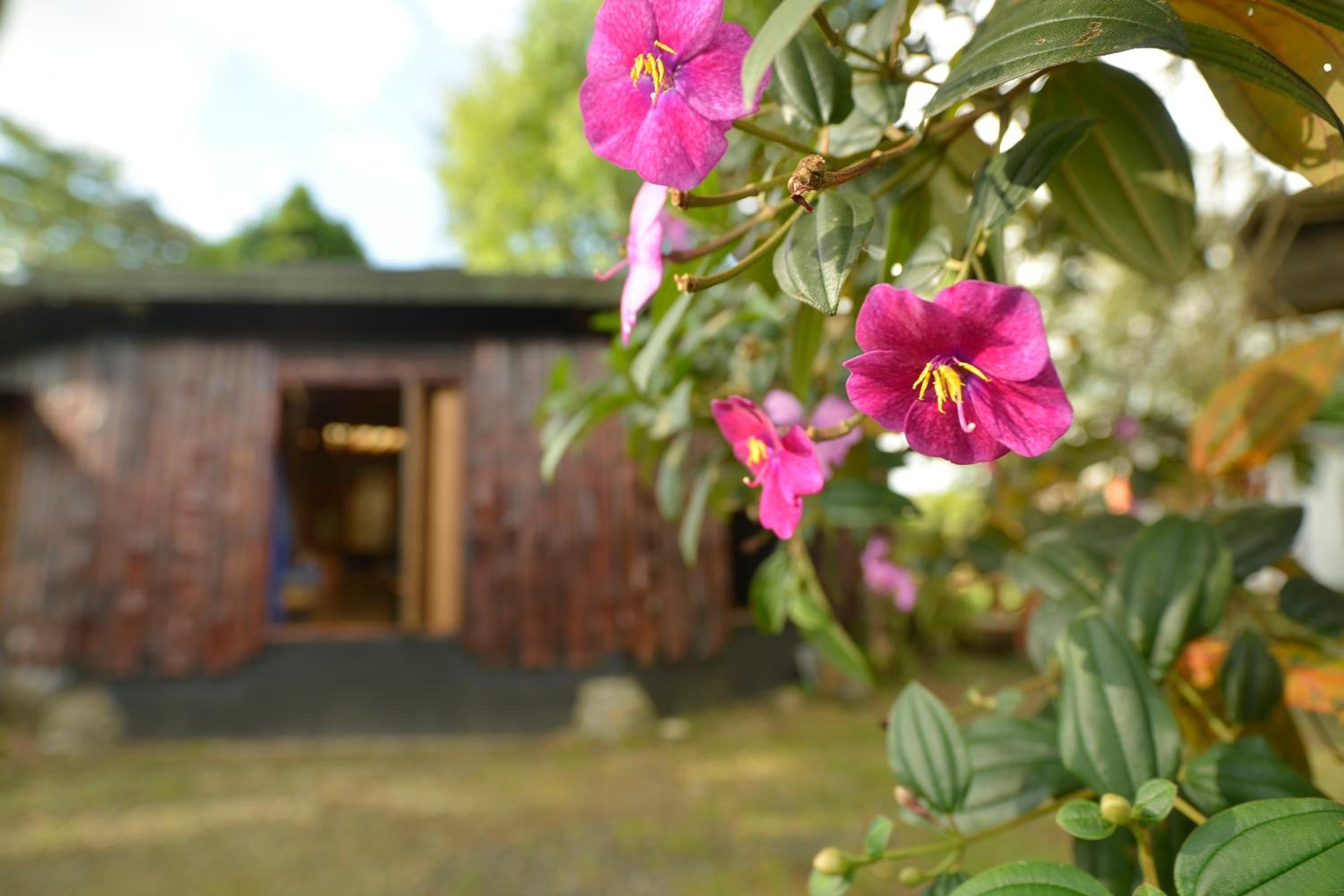 EcoRoundHouse