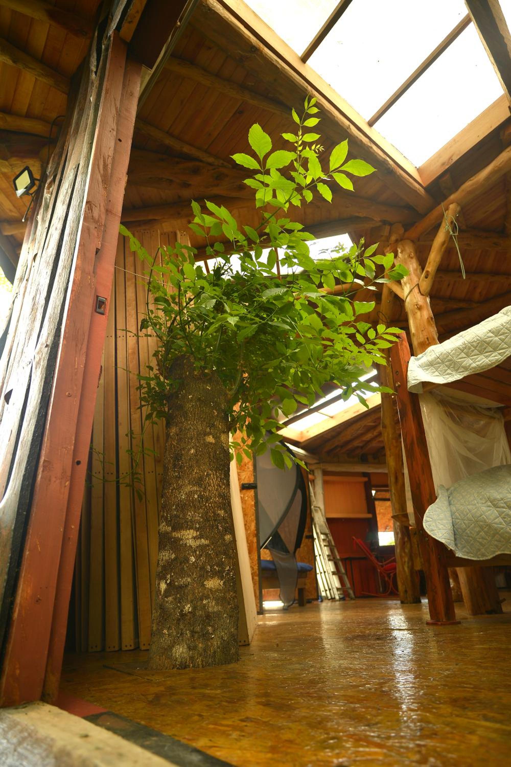 EcoRoundHouse