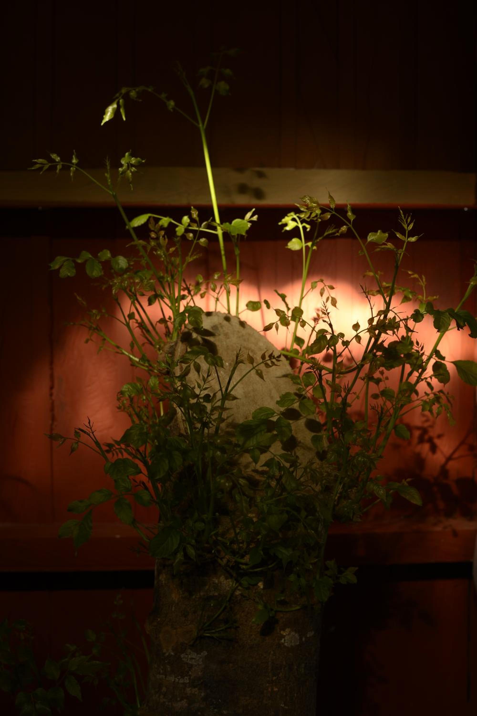 EcoRoundHouse