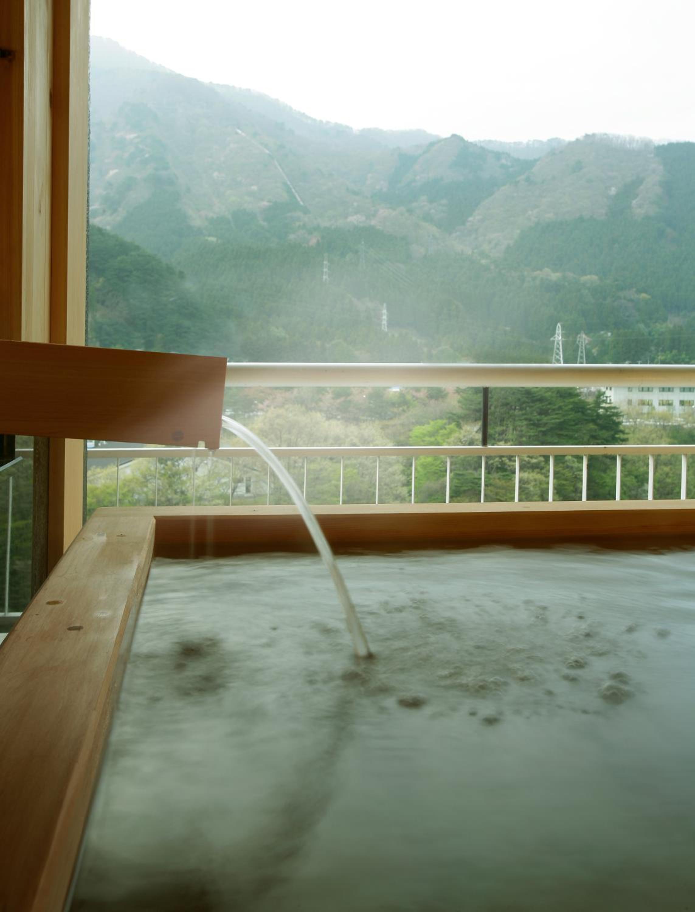 Kinugawa Hotel Mikazuki, 닛코시 - 14
