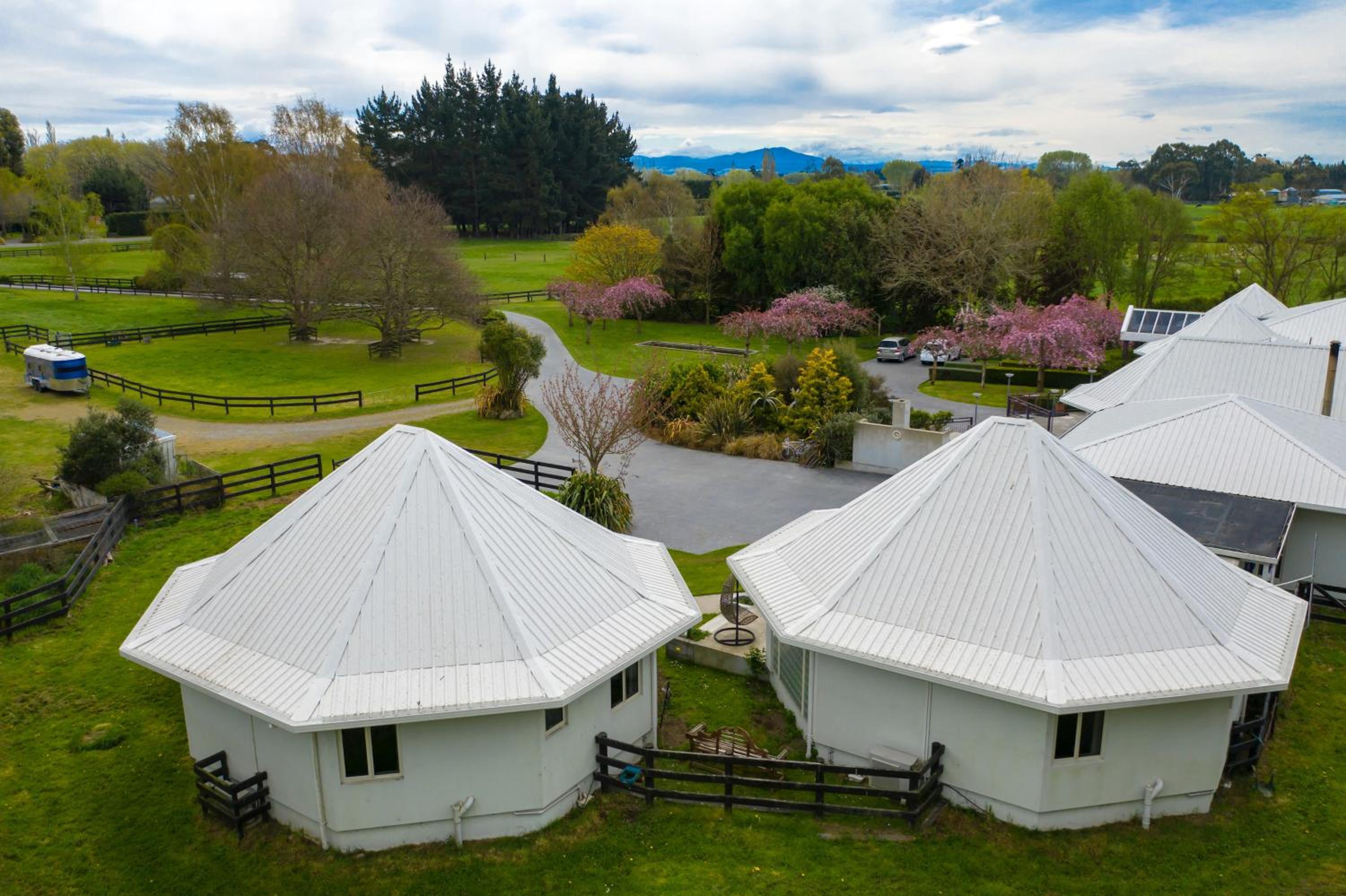 Silverstream Alpaca Farmstay & Tour