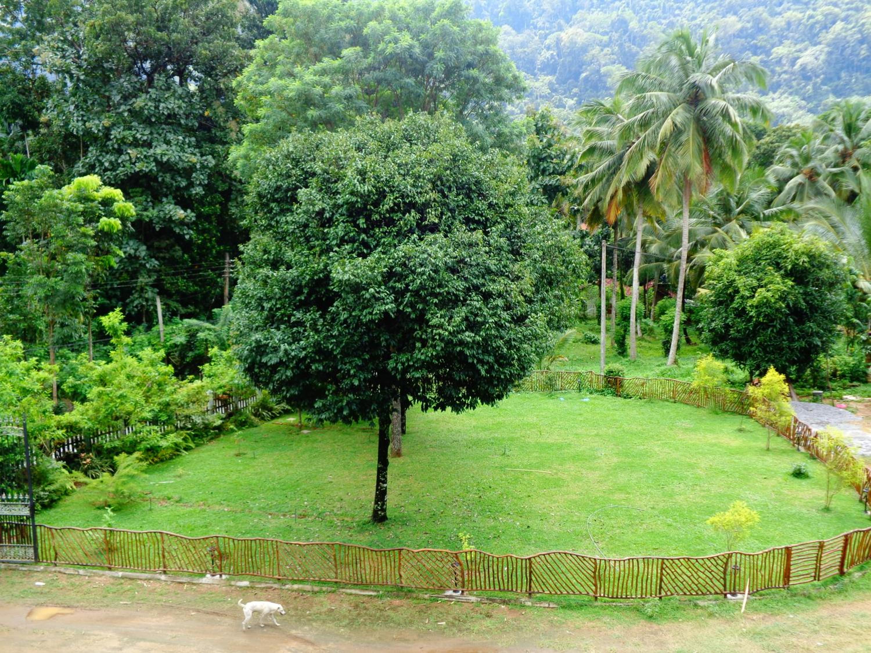 Xotic Resort view 3