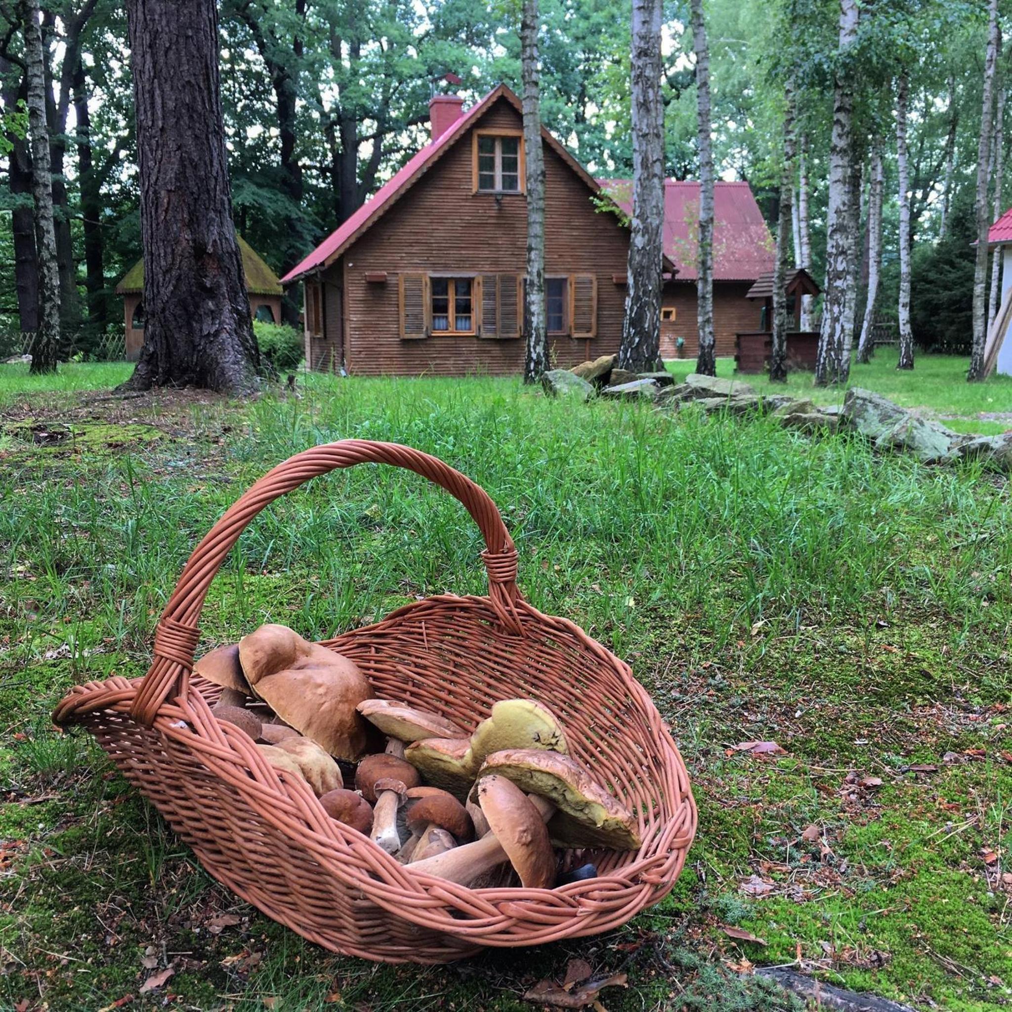 Zakatek Kliczkow view 3