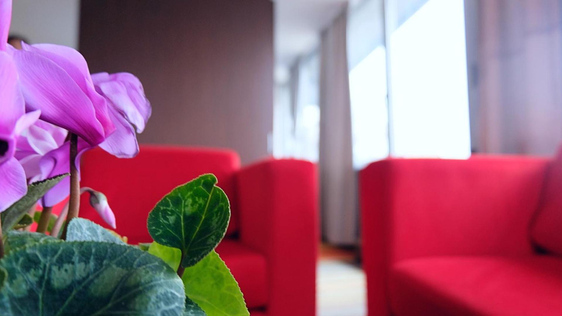 Hotel Richi view 5