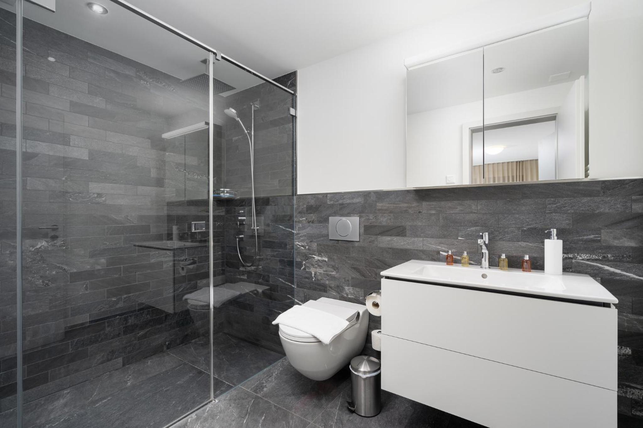 Swiss Hotel Apartments - Interlaken — photo 105