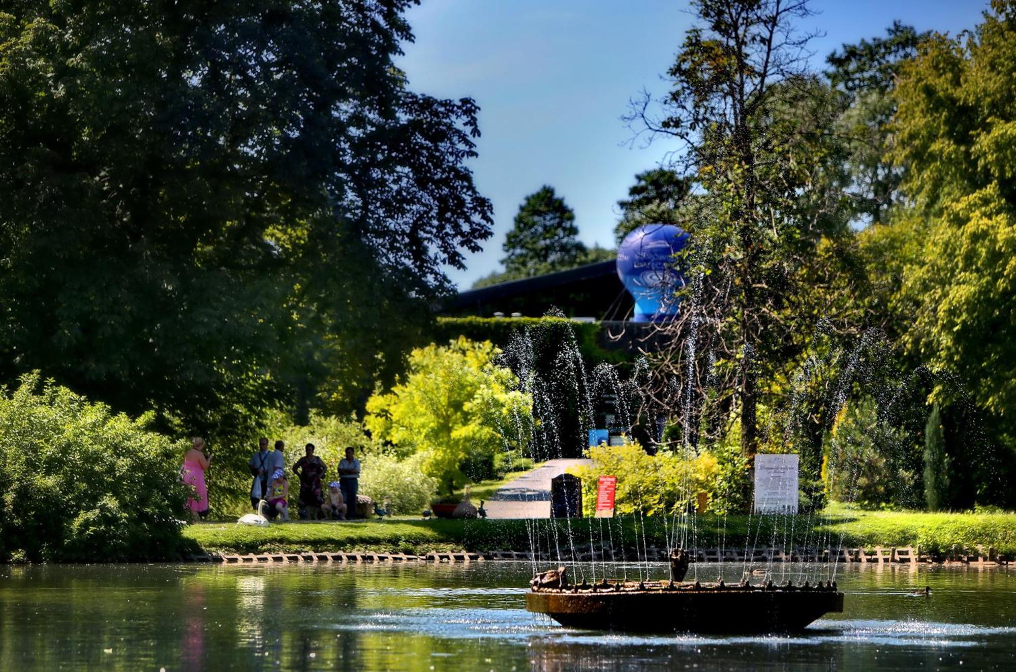 children's play area